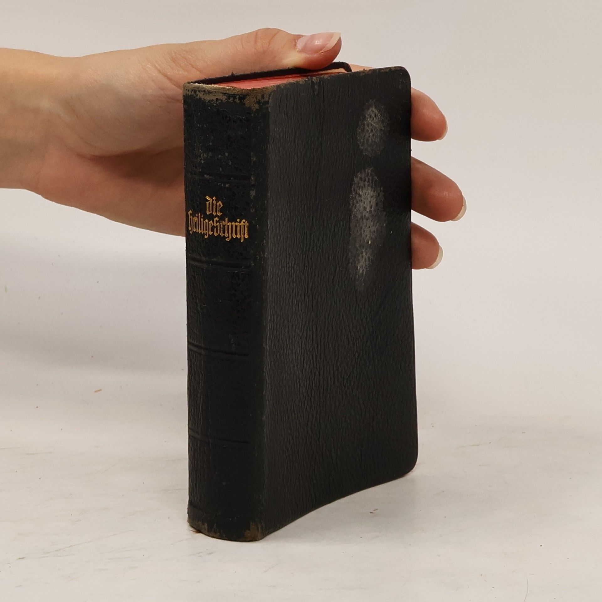 Collectif d'auteurs Die Bibel oder die ganze Heilige Schrift des Alten und Neuen Testaments