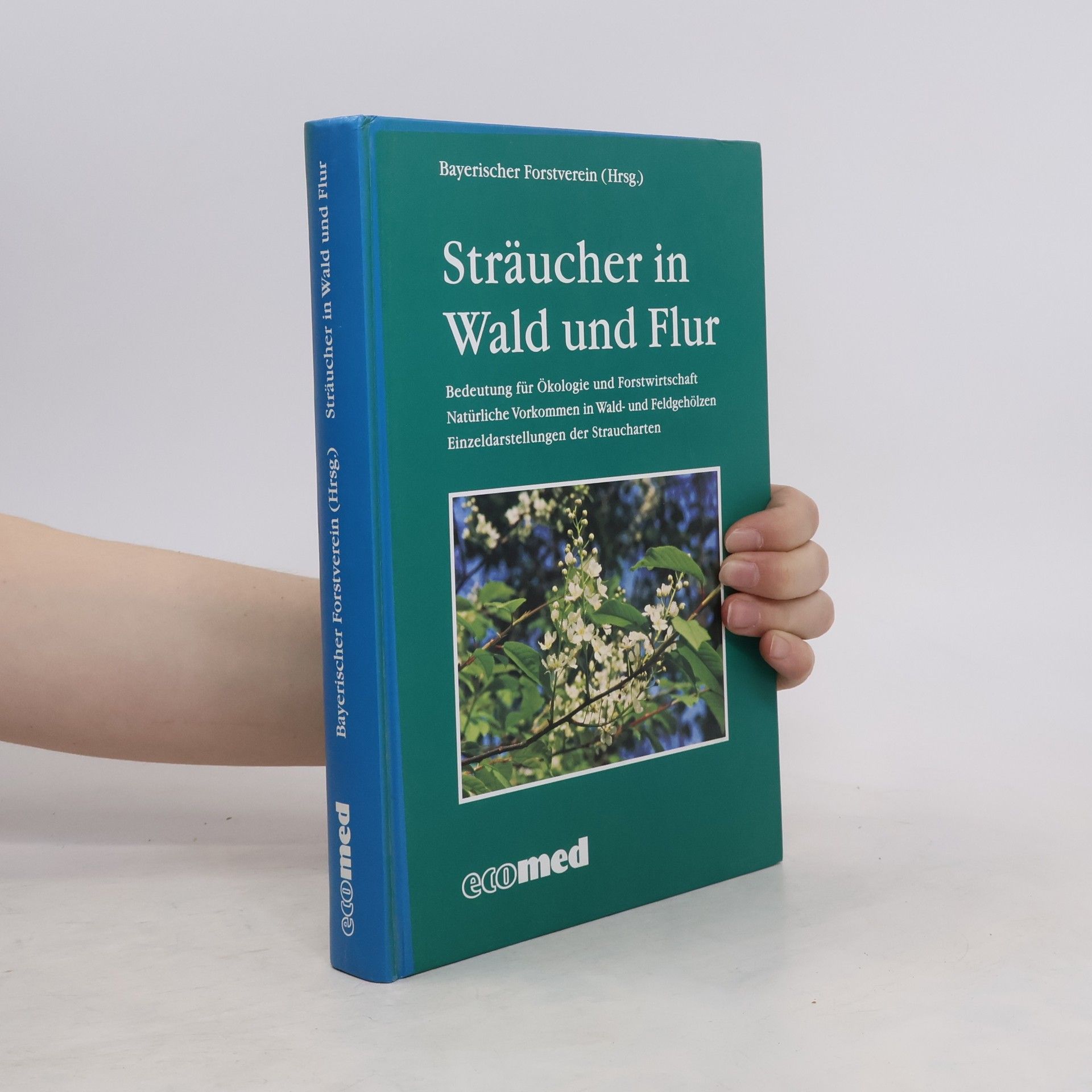 Kolektiv autorů Sträucher in Wald und Flur