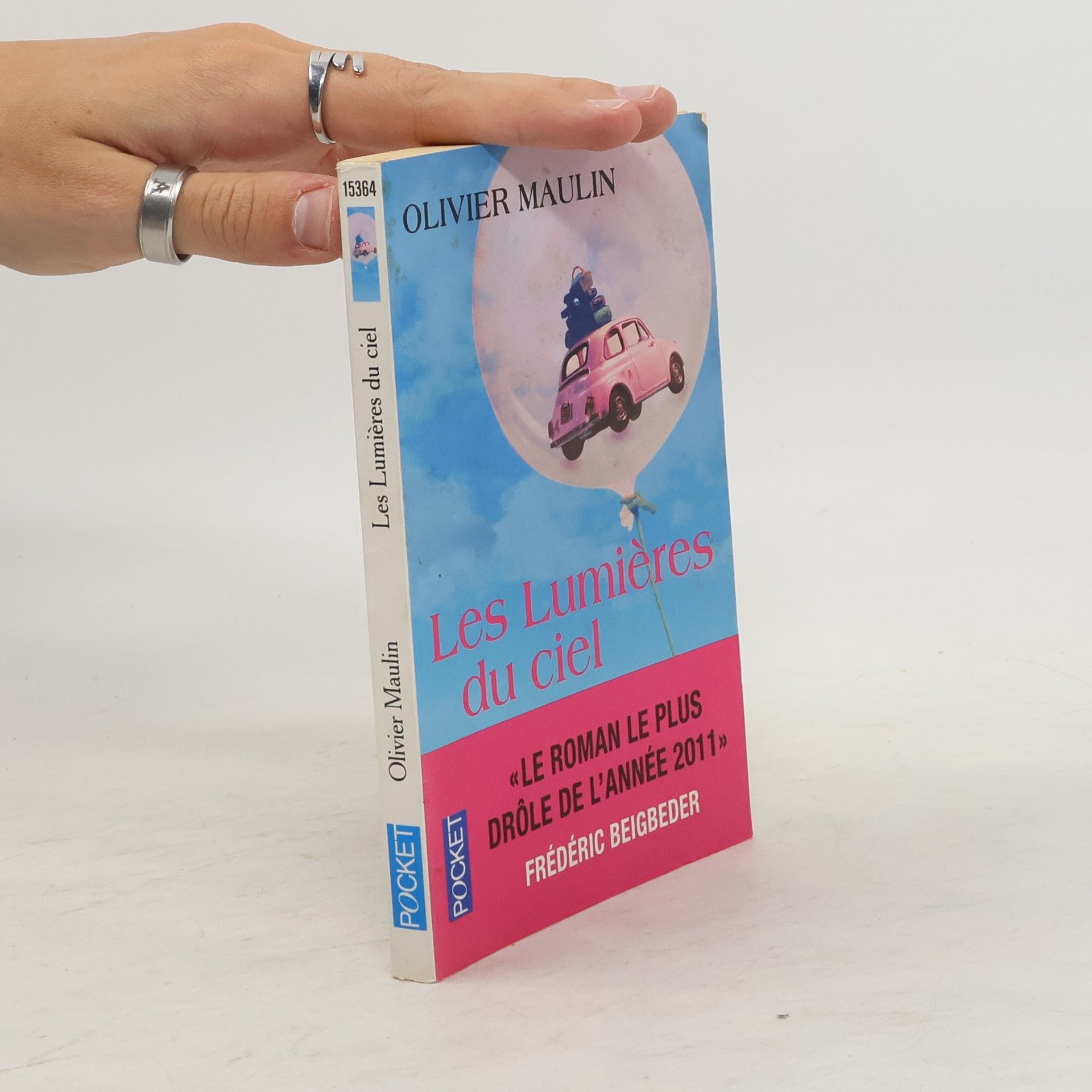 Olivier Maulin Les lumières du ciel