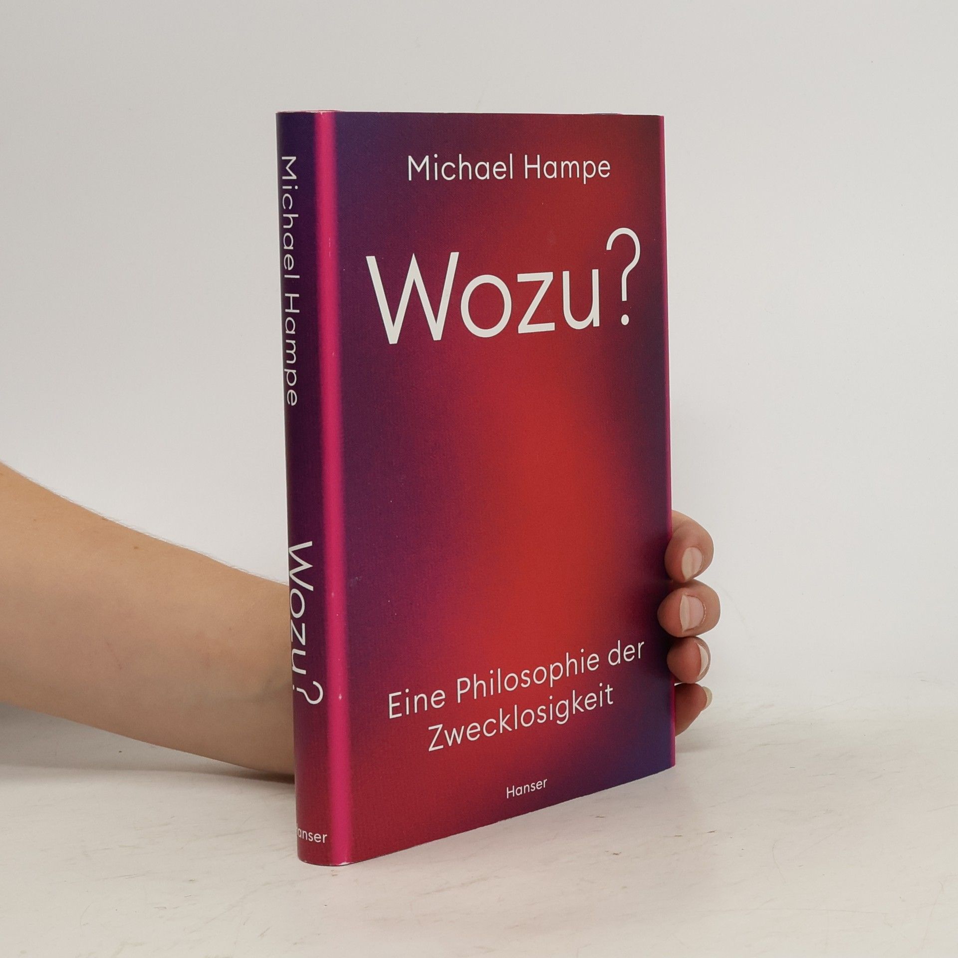 Michael Hampe Wozu?