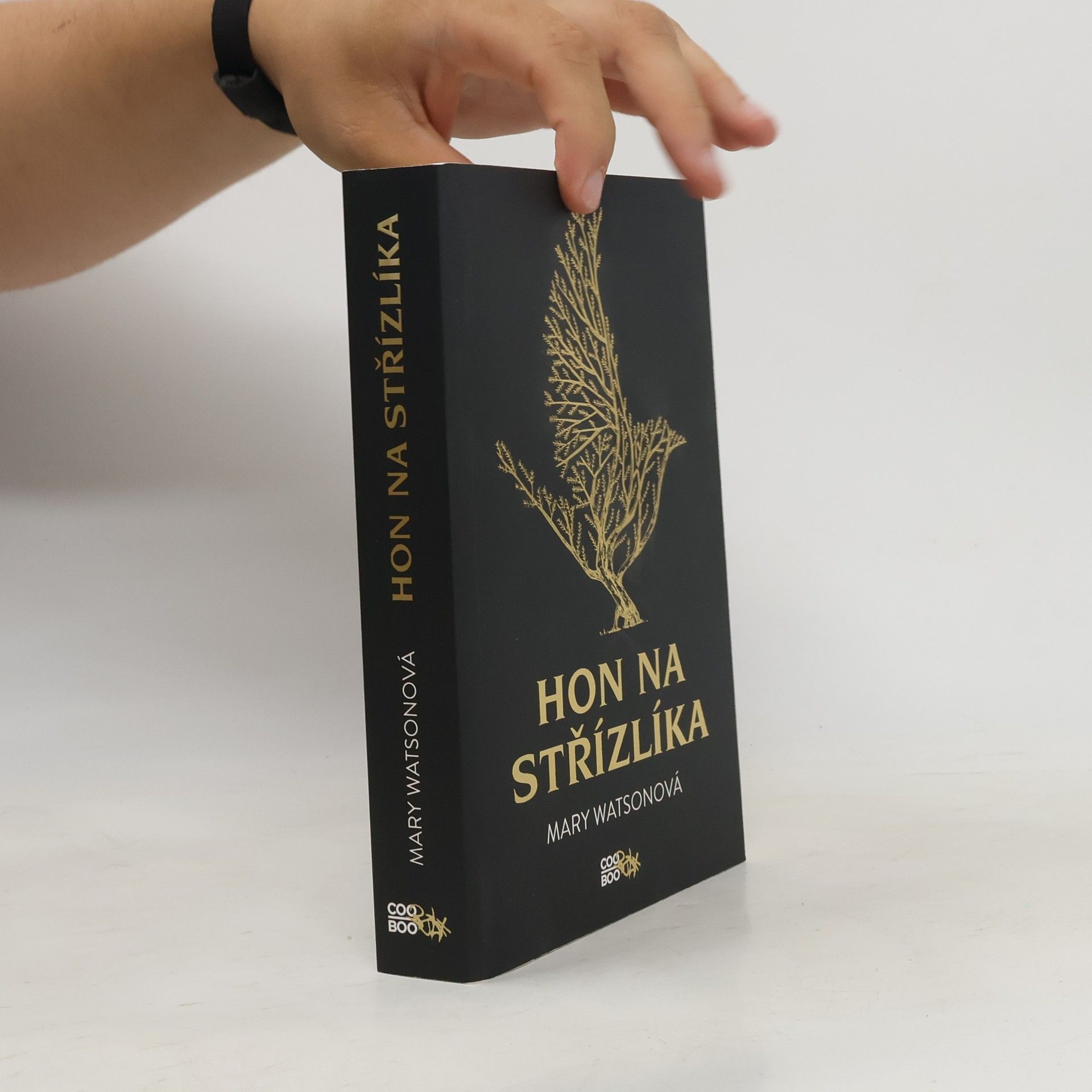 Mary Watson Hon na střízlíka