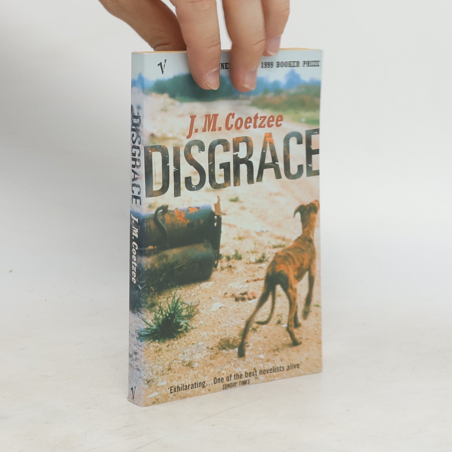 J. M. Coetzee Disgrace