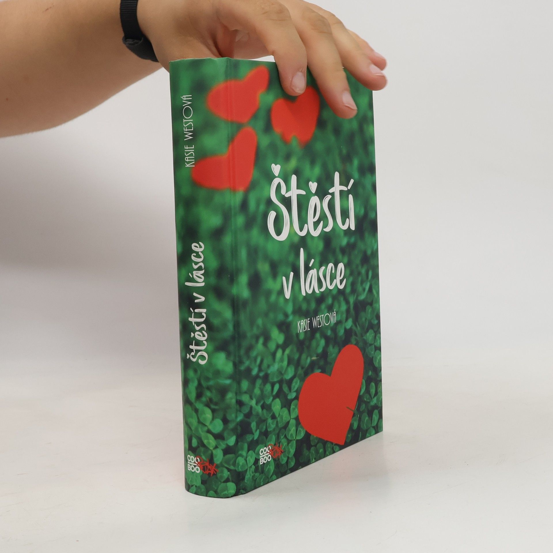 Kasie West Štěstí v lásce