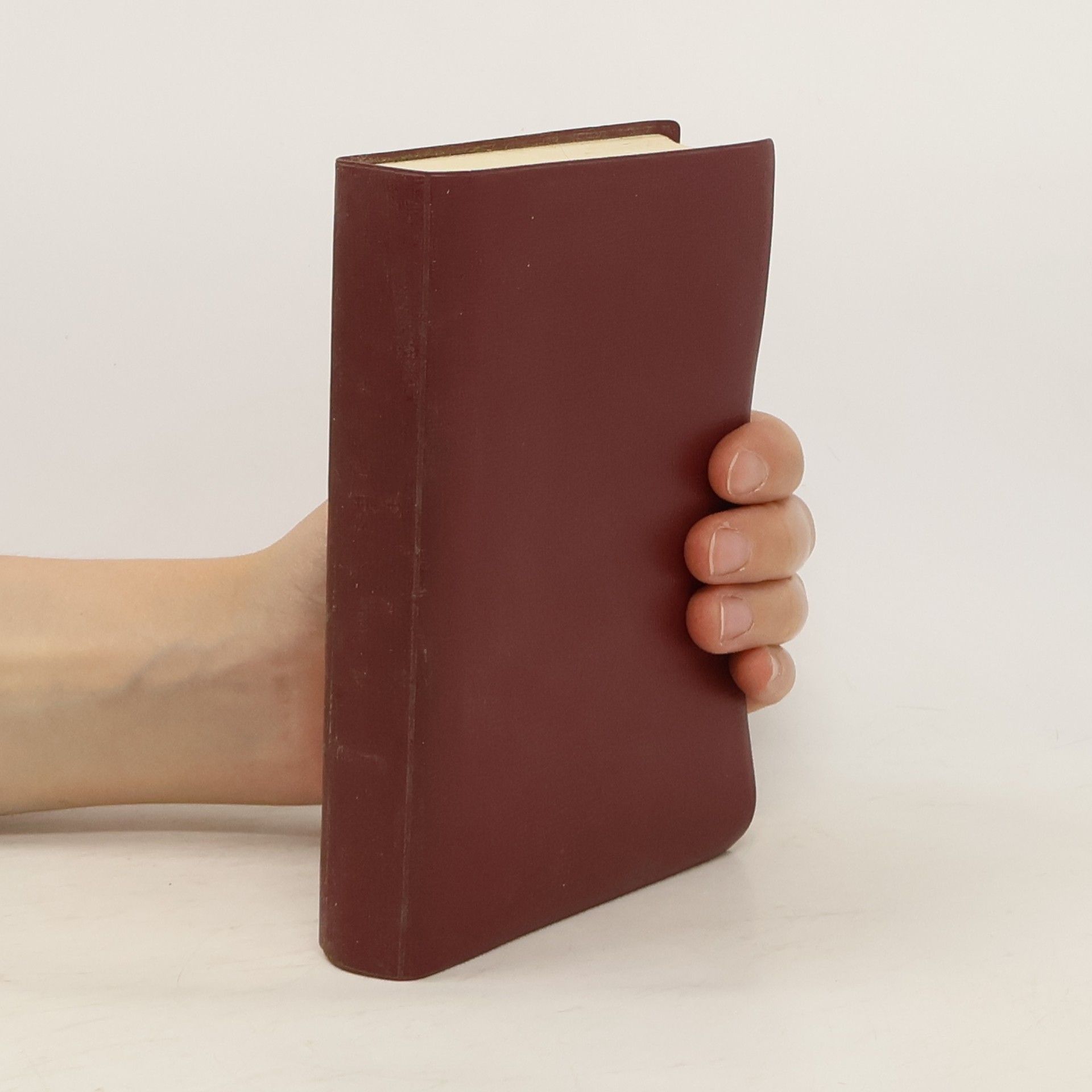 Kolektiv autorů Biblí svatá, aneb, Všecka svatá Písma Starého i Nového zákona