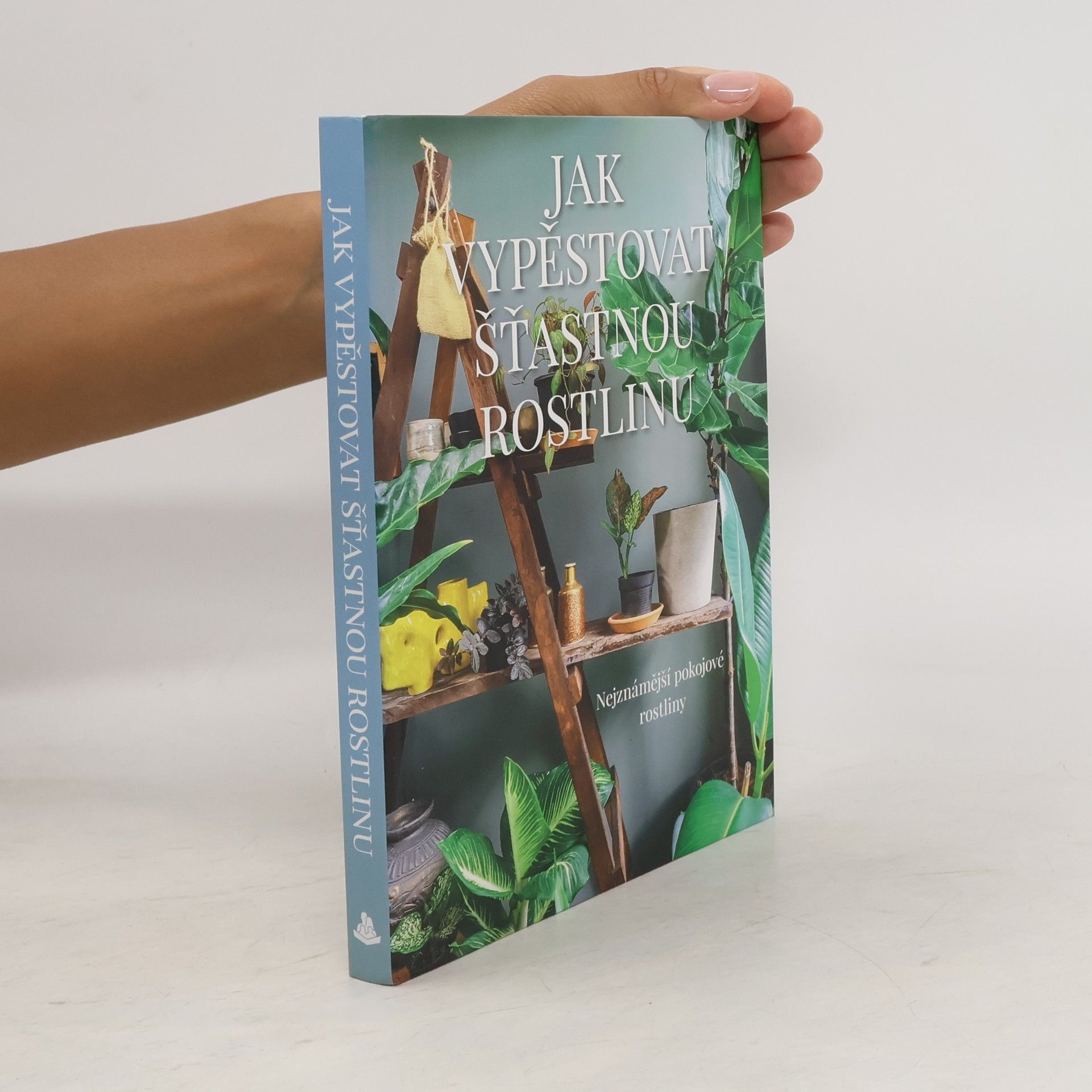 Jak vypěstovat šťastnou rostlinu