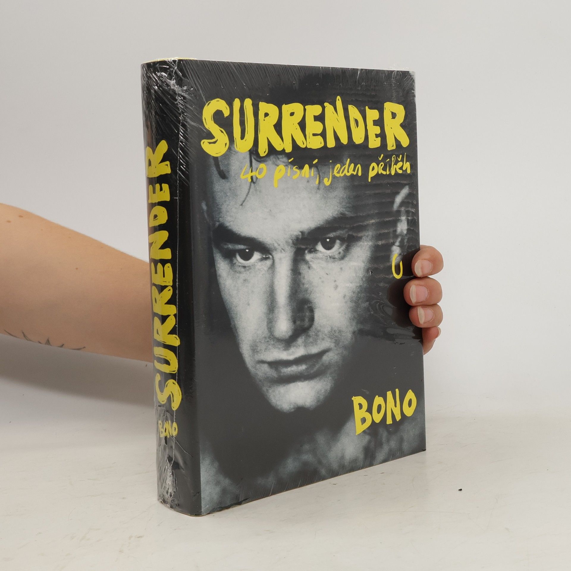 Surrender : 40 písní, jeden příběh