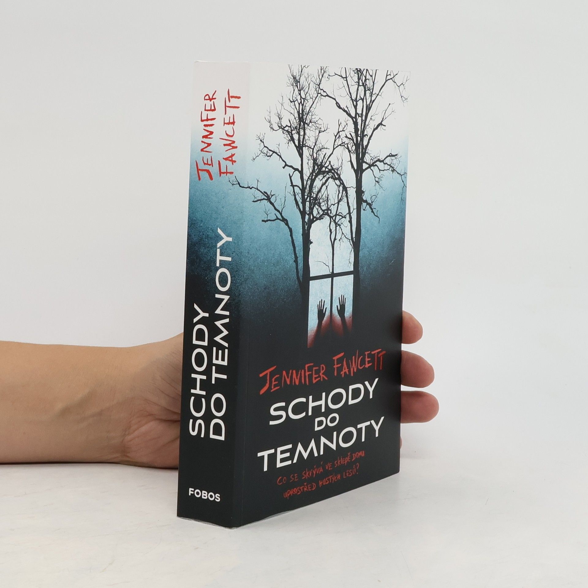 Jennifer Fawcett Schody do temnoty