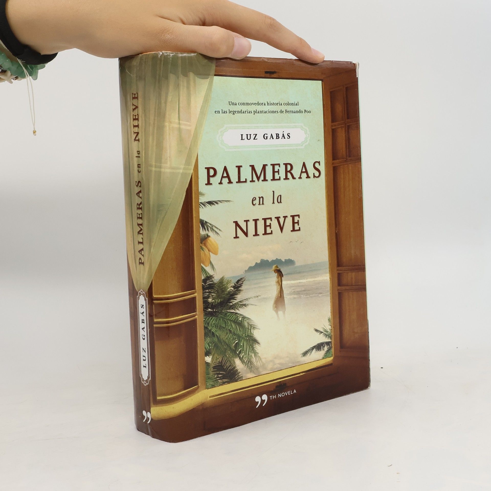 Luz Gabás Palmeras en la nieve