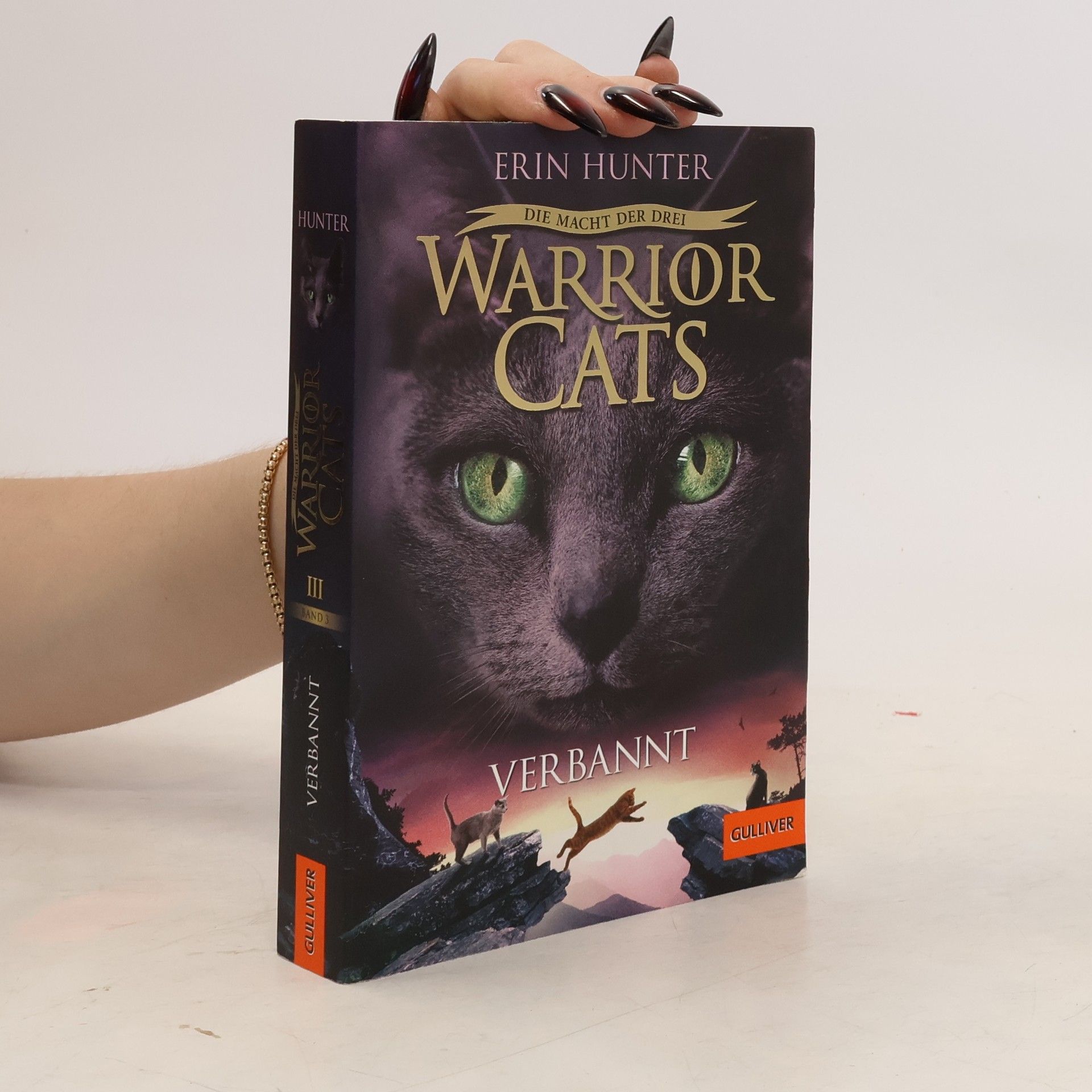 Erin Hunter Verbannt