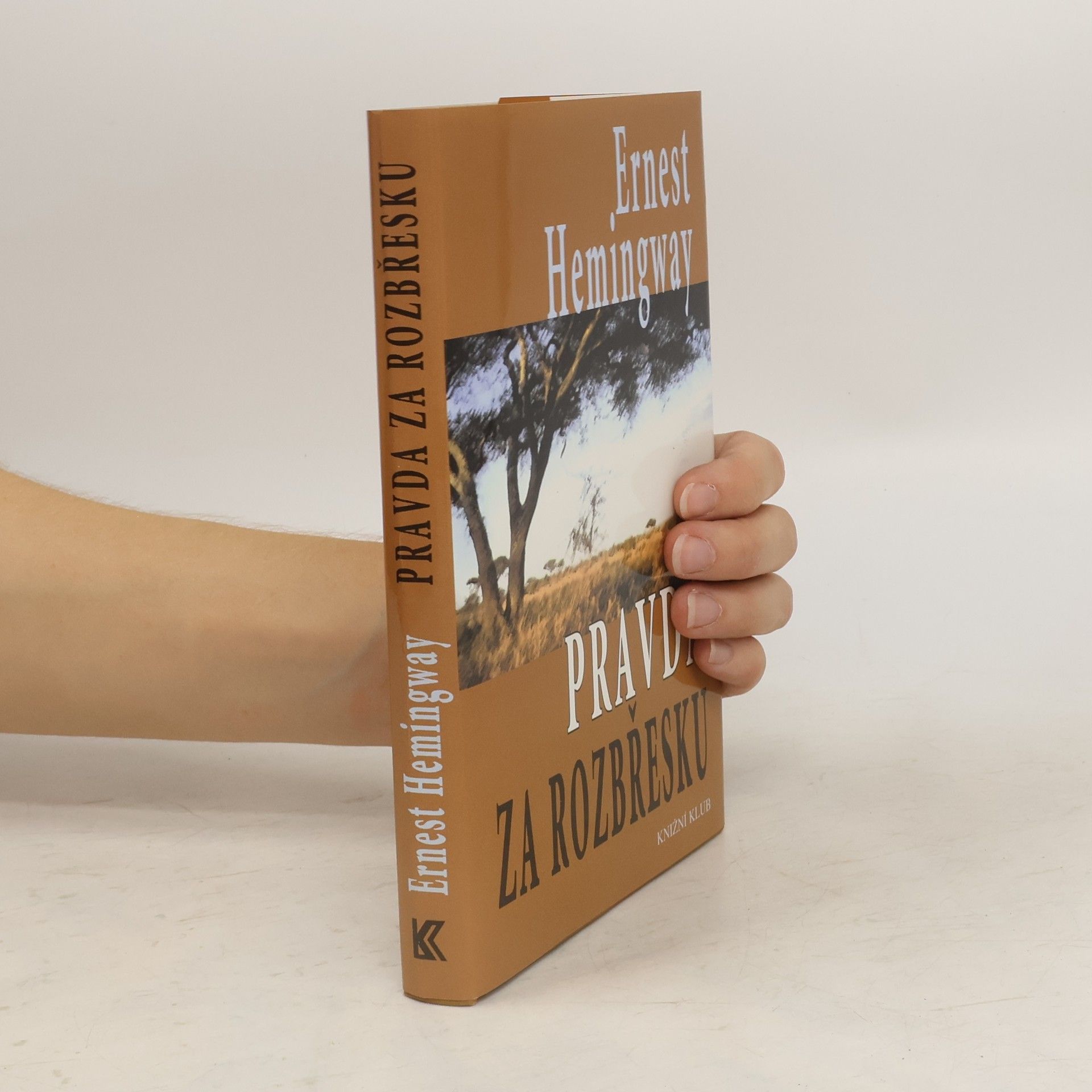 Ernest Hemingway Pravda za rozbřesku