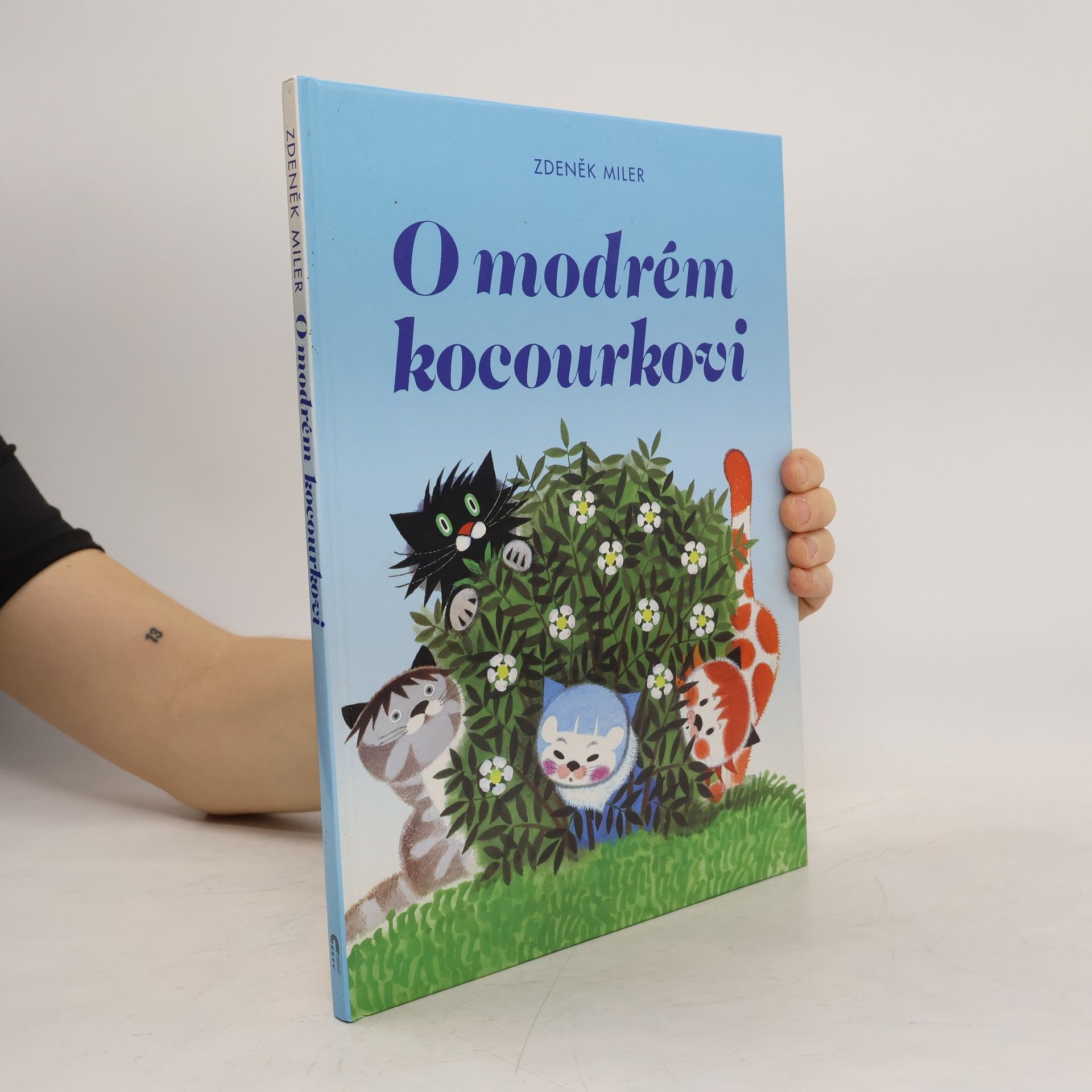 Marika Hellstrom Kennedy O modrém kocourkovi