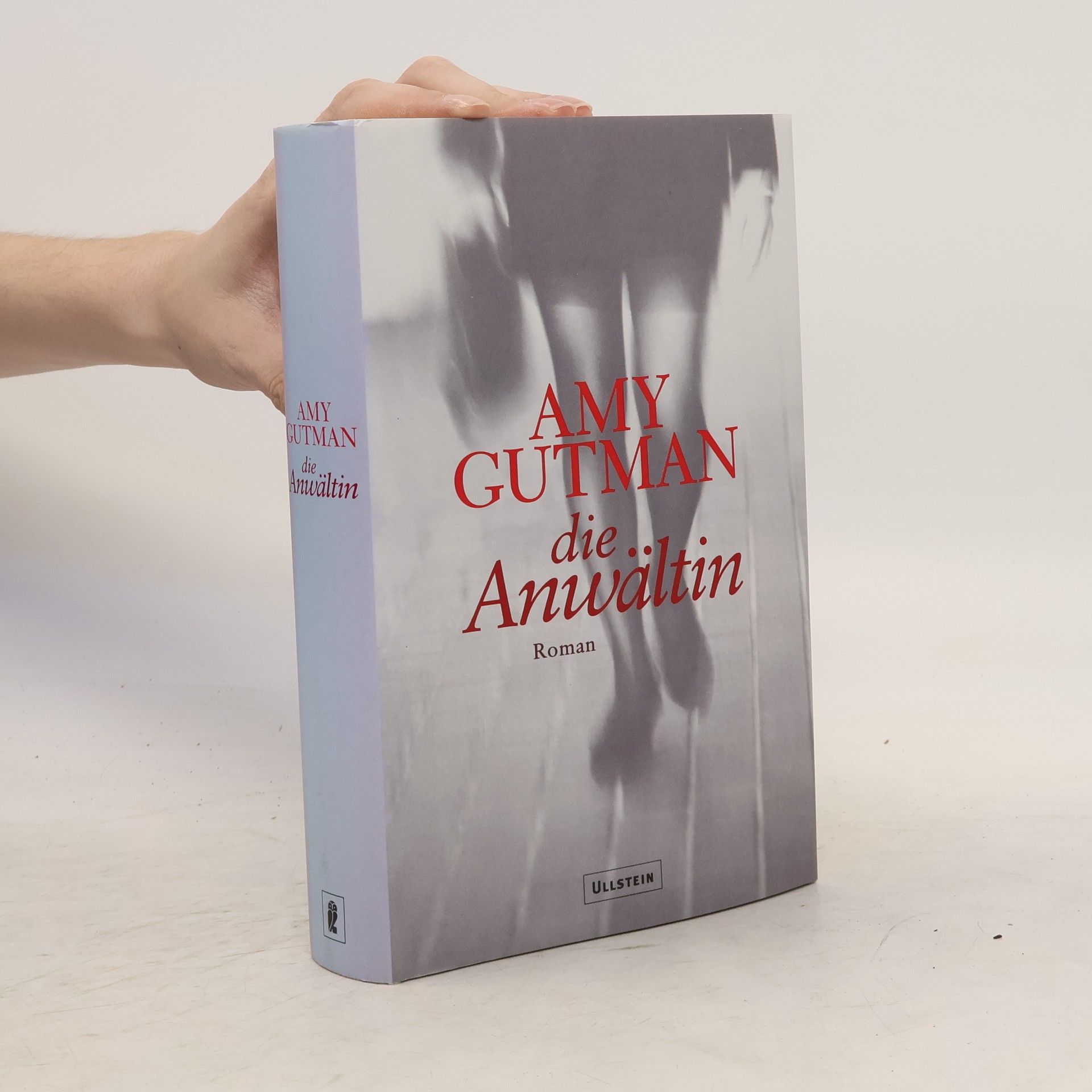 Amy Gutman Die Anwältin