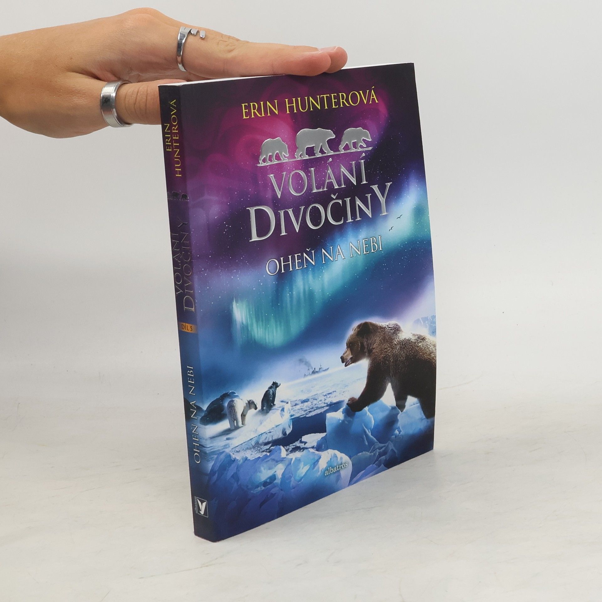 Erin Hunter Oheň na nebi