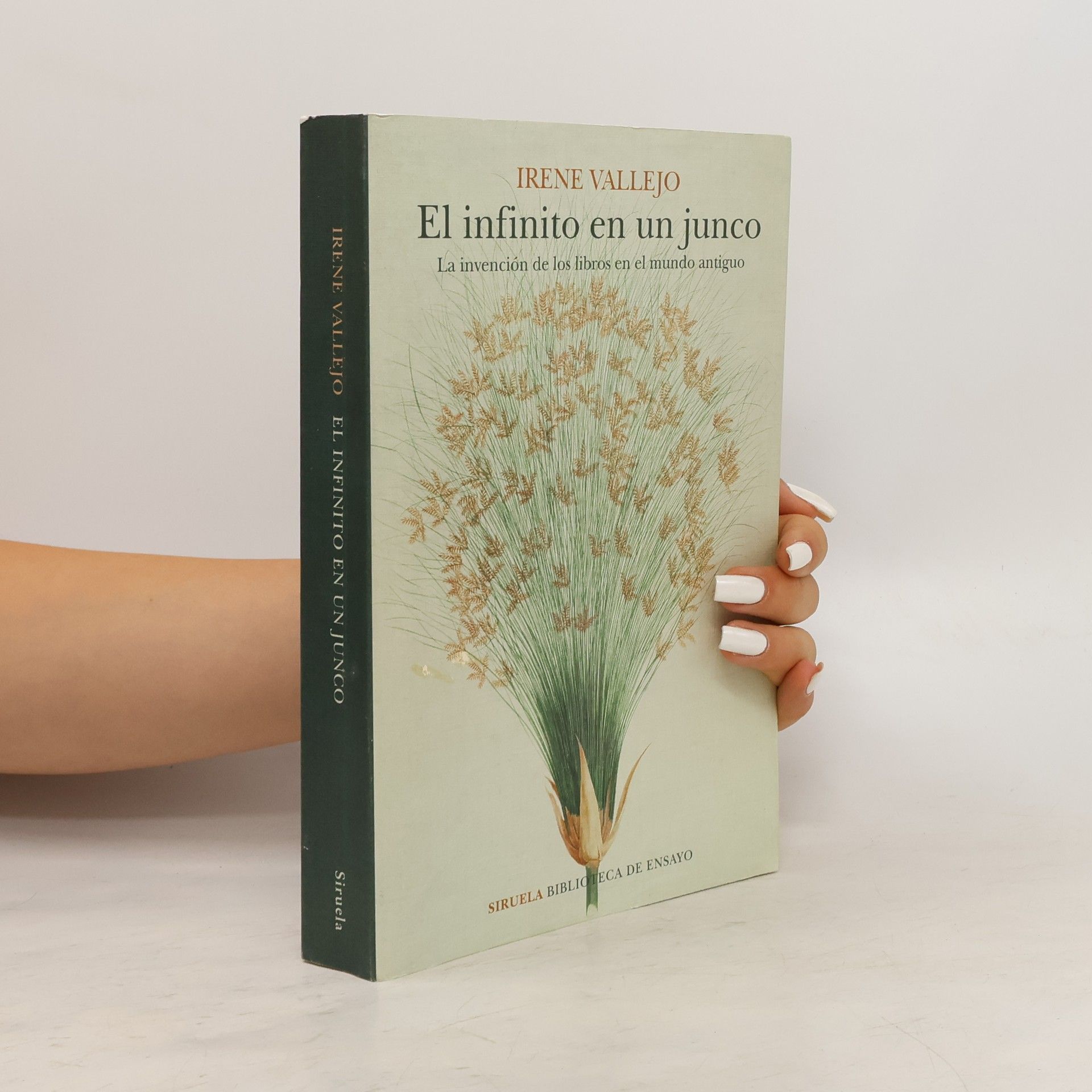 Irene Vallejo El infinito en un junco