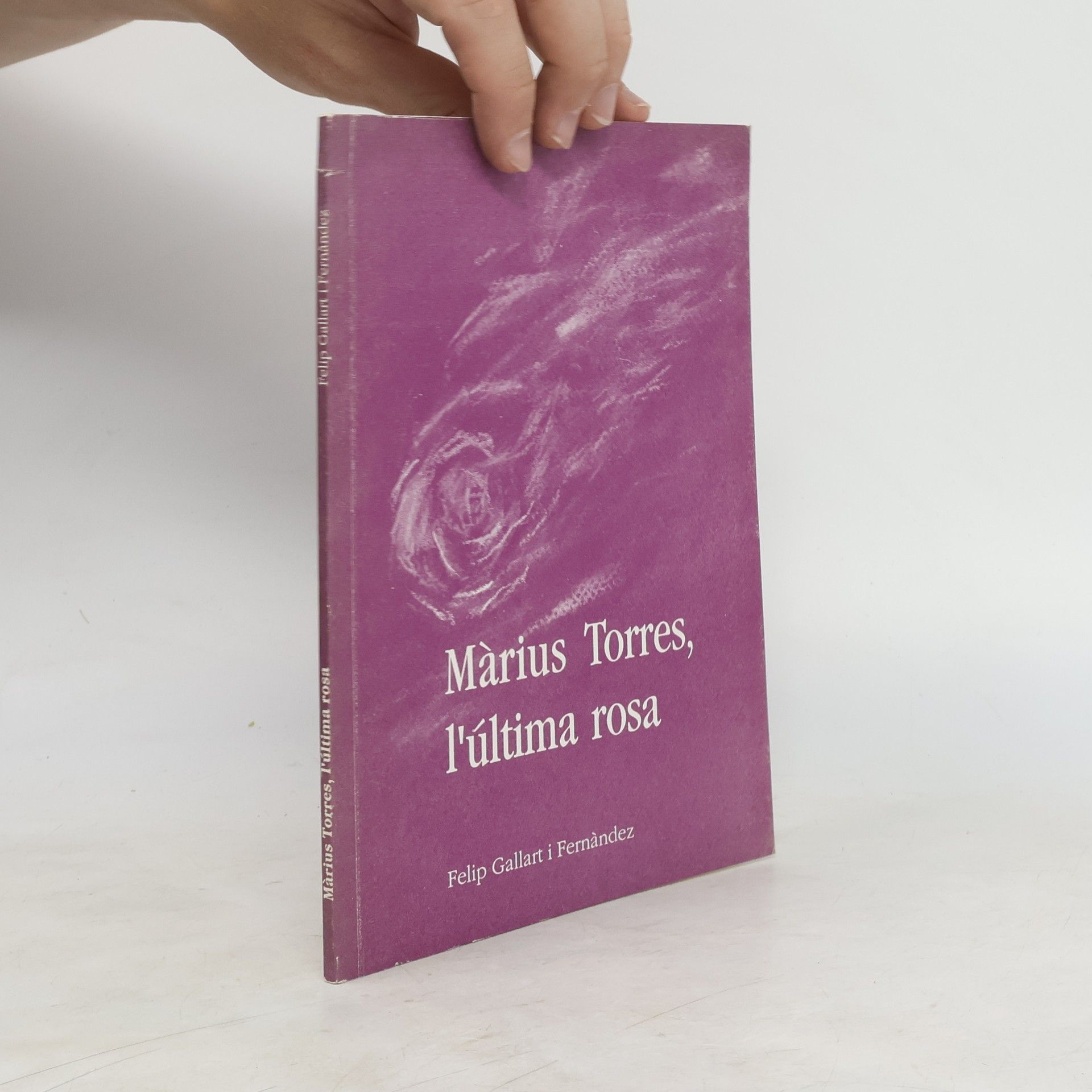 Felip Gallart i Fernández Sèrie Narrativa: Màrius Torres, l'última rosa