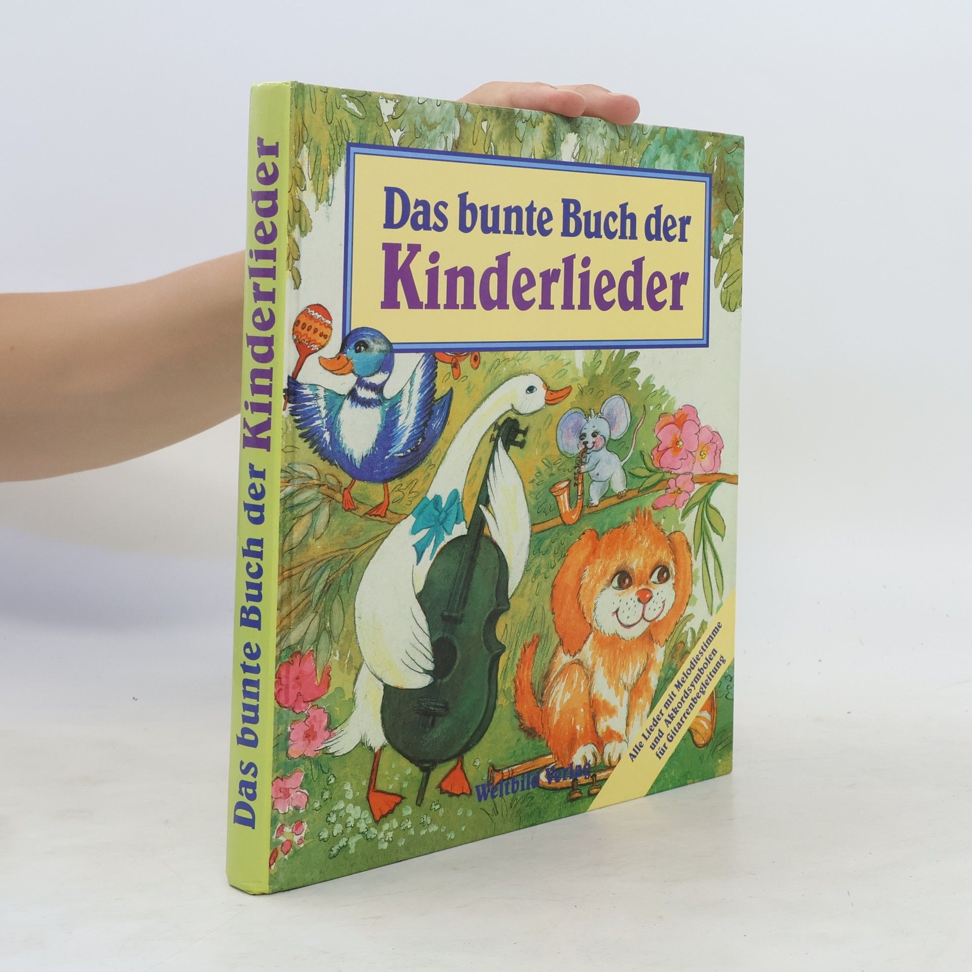 kolektiv Das bunte Buch der Kinderlieder