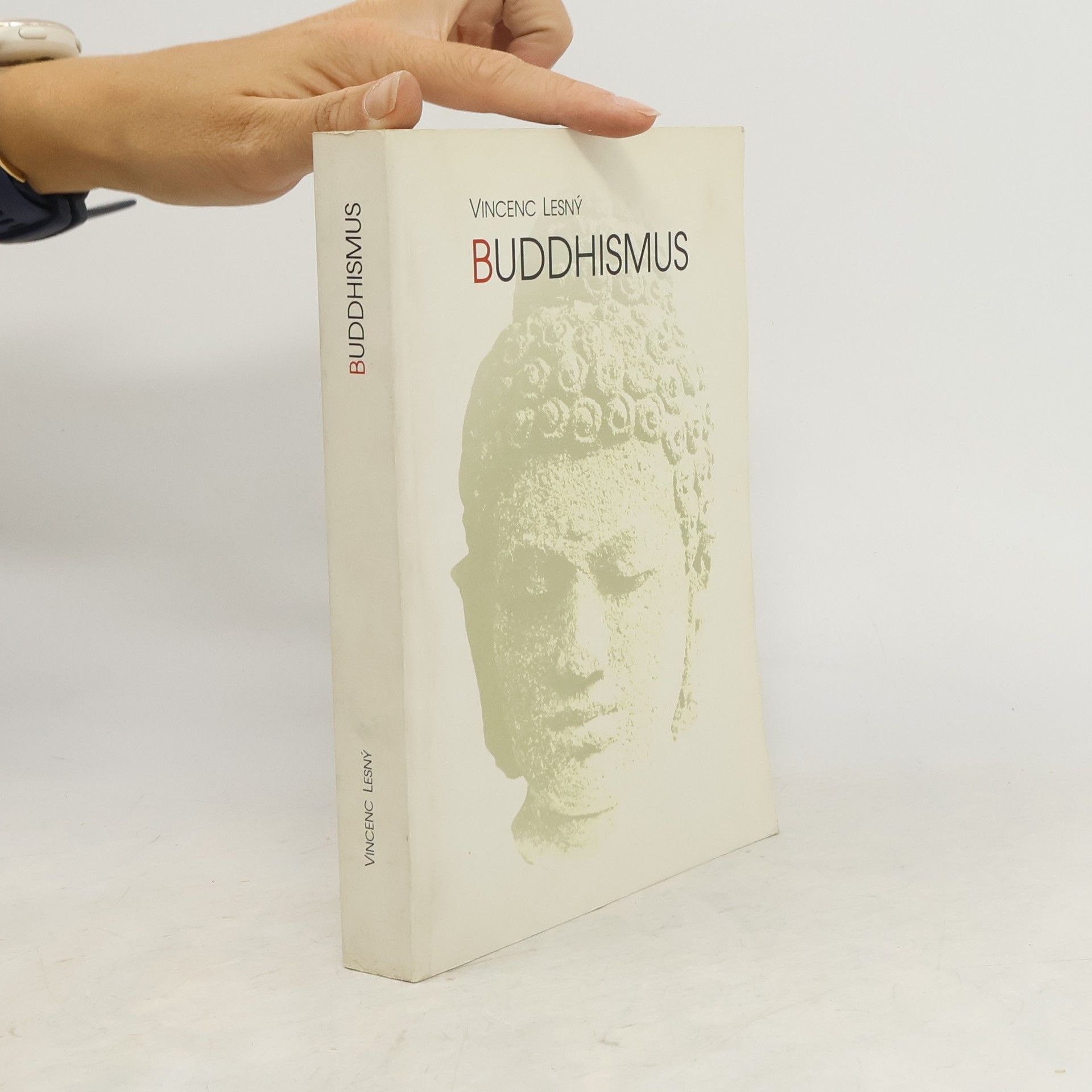 Vincenc Lesný Buddhismus