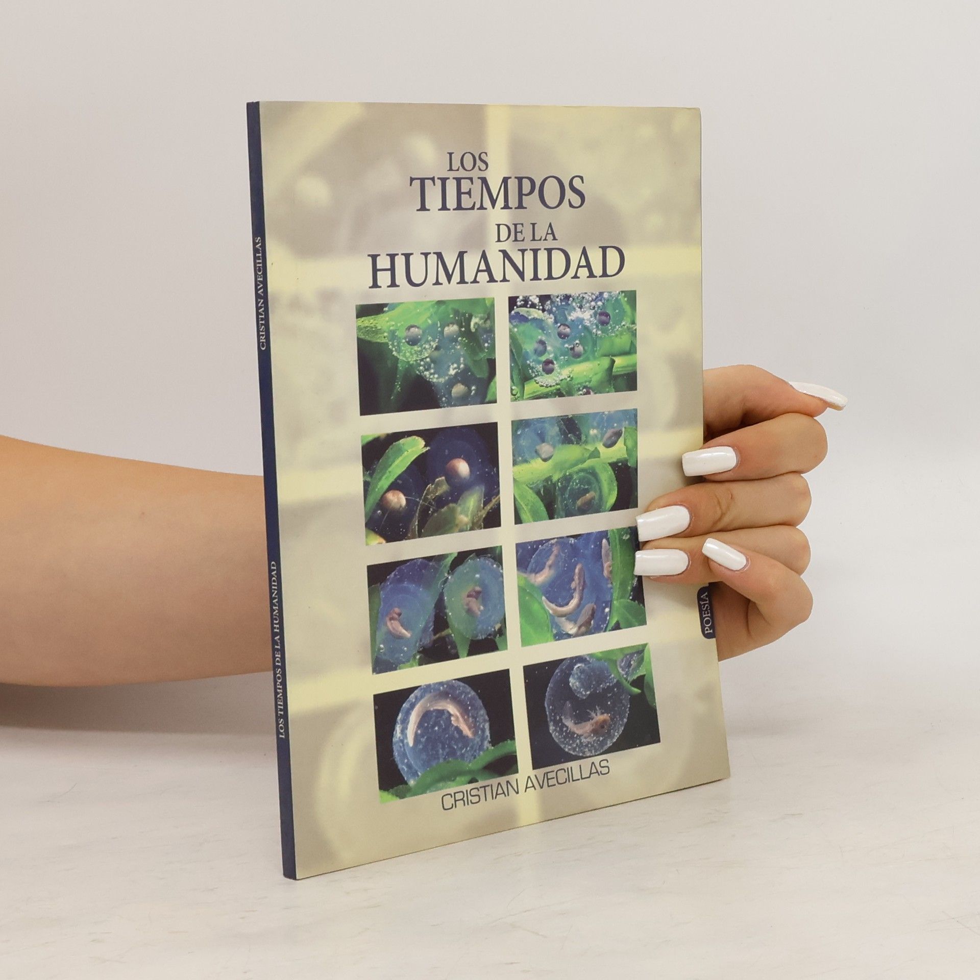 Cristian Avecillas Los tiempos de la humanidad