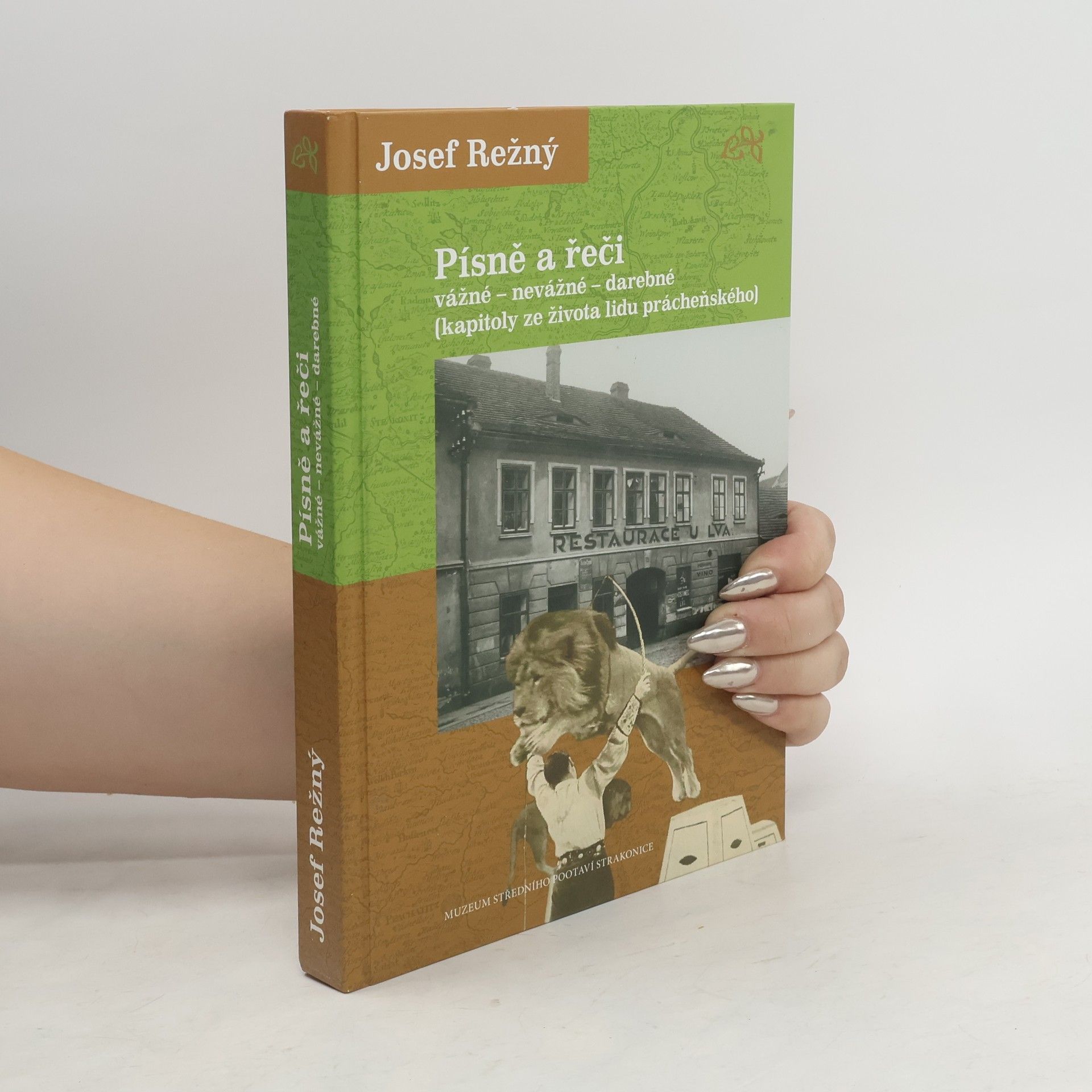 Josef Režný Písně a řeči vážné - nevážné - darebné : (kapitoly ze života lidu prácheňského)