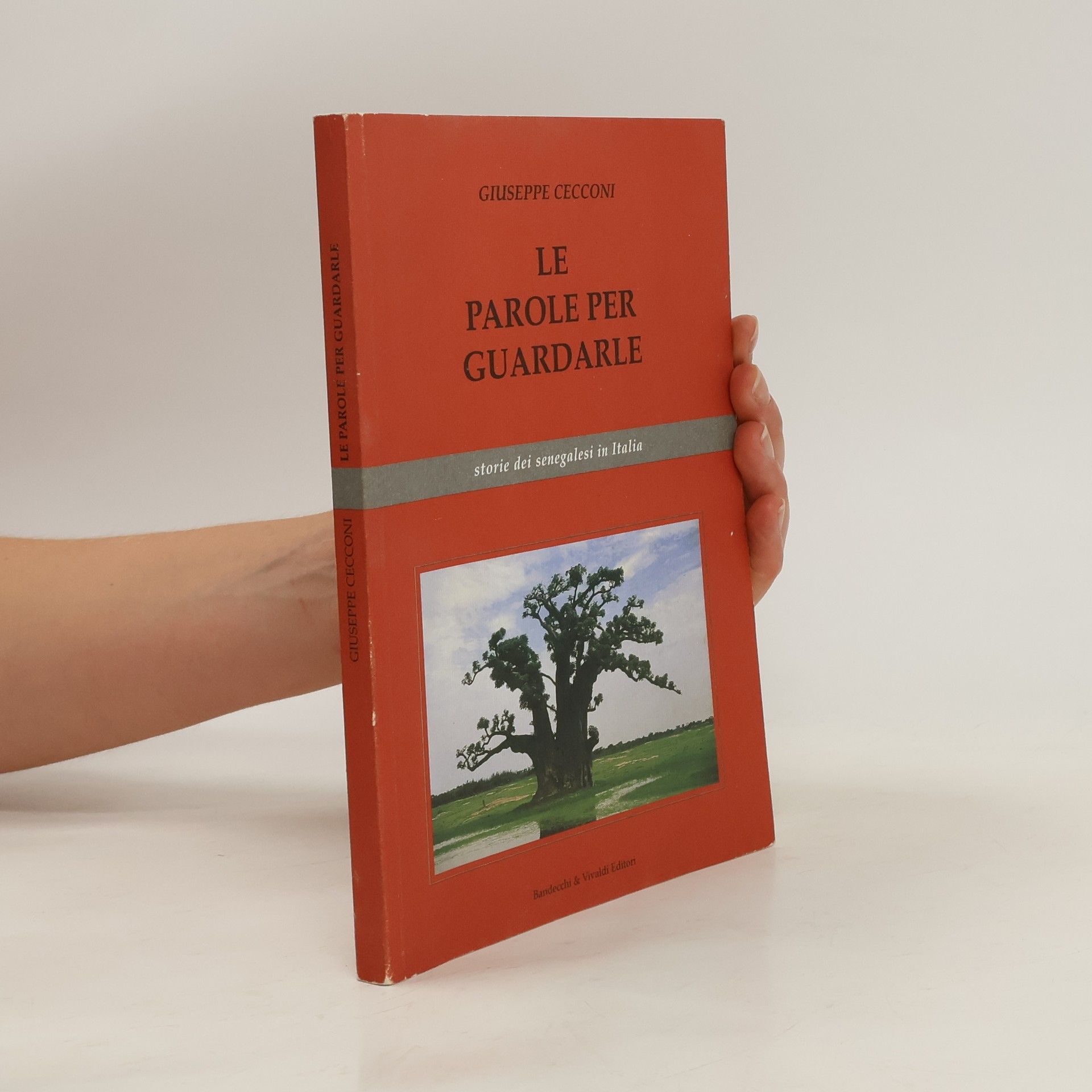 Giuseppe Cecconi Le parole per guardarle