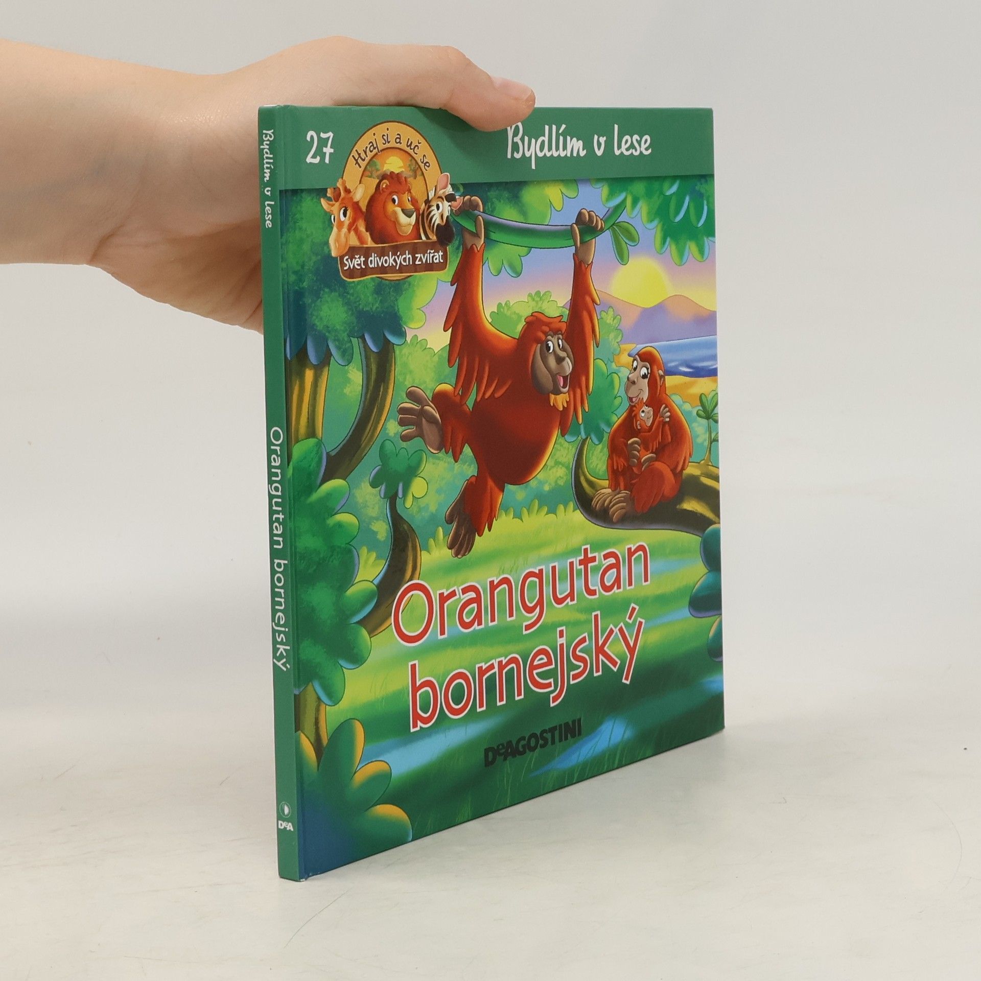 kolektiv Bydlím v lese 27. Orangutan bornejský