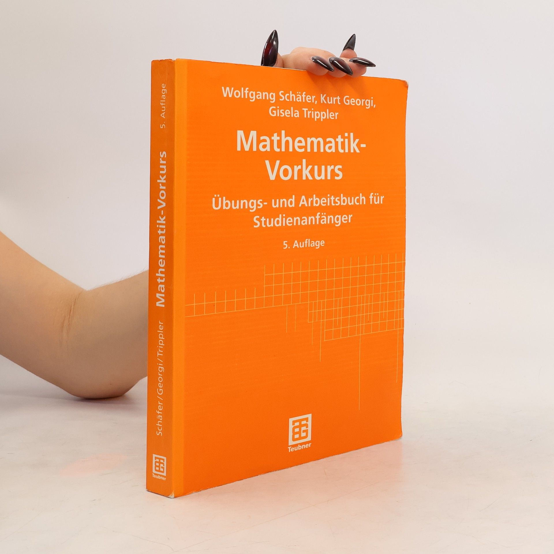 Wolfgang Schäfer Mathematik-Vorkurs