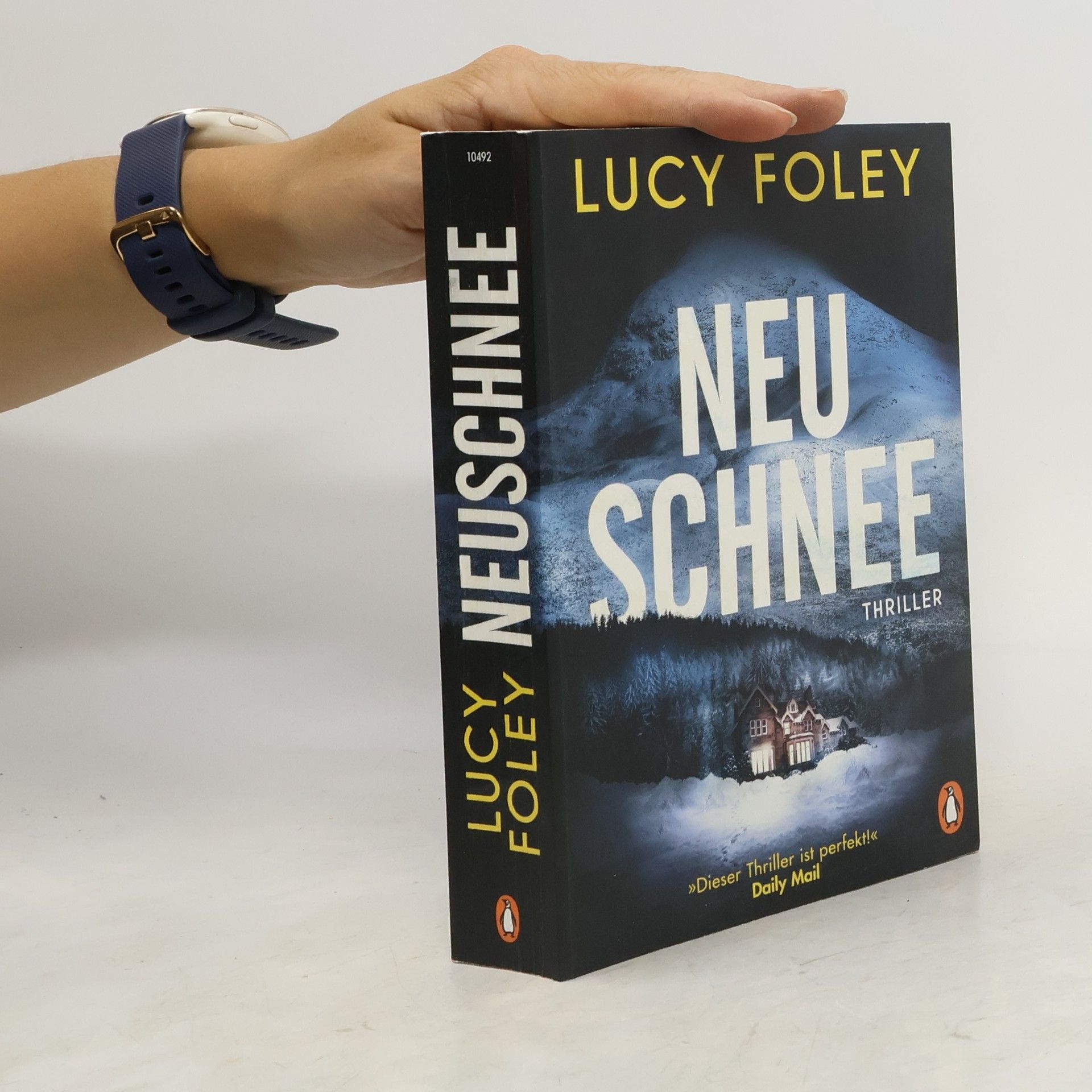 Lucy Foley Neuschnee