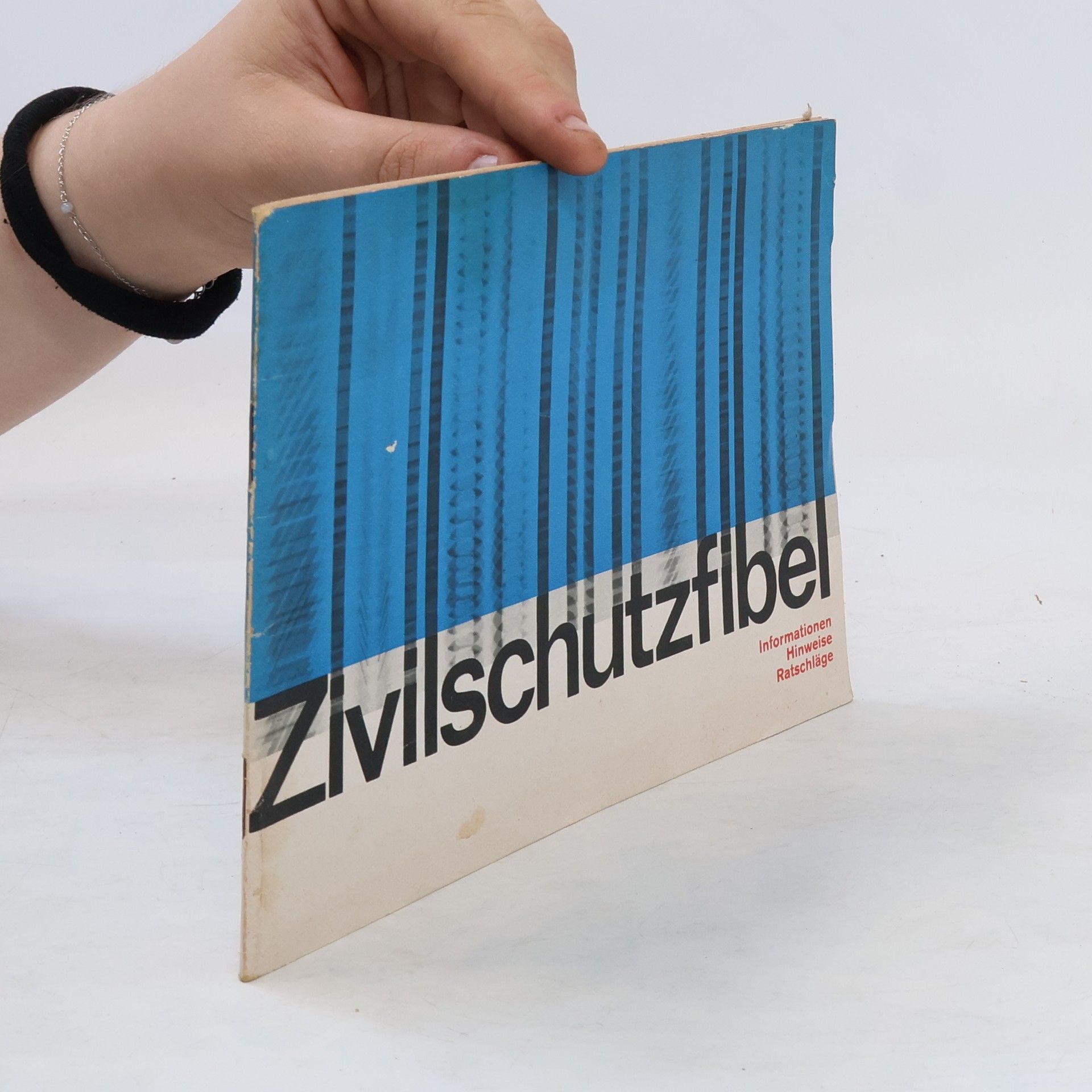 Kolektiv autorů Zivilschutzfibel