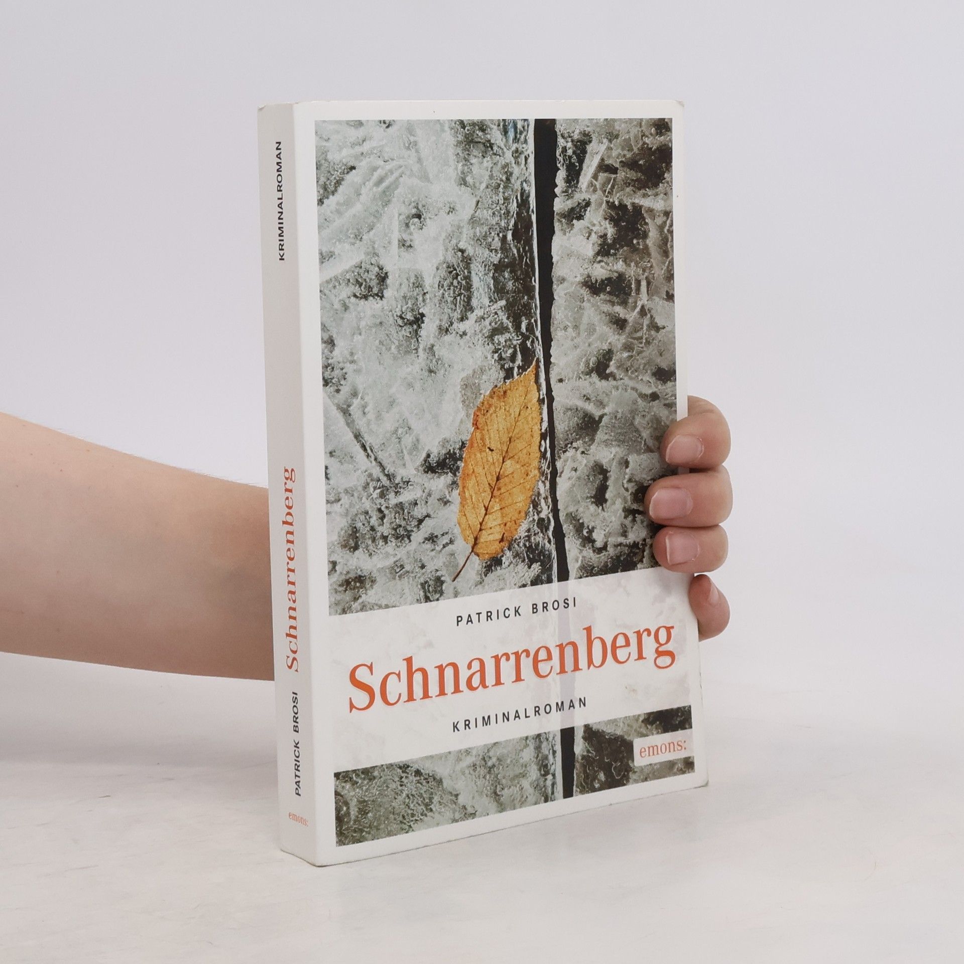 Patrick Brosi Schnarrenberg