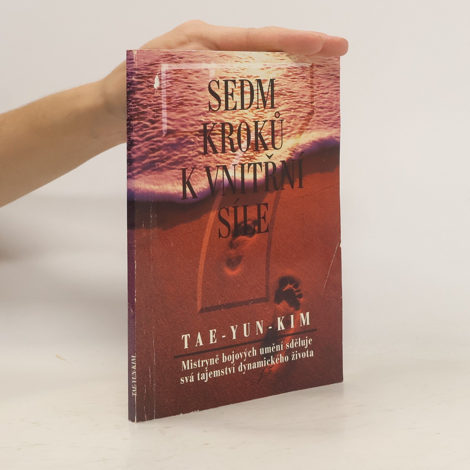 Tae Yun Kim Sedm kroků k vnitřní síle