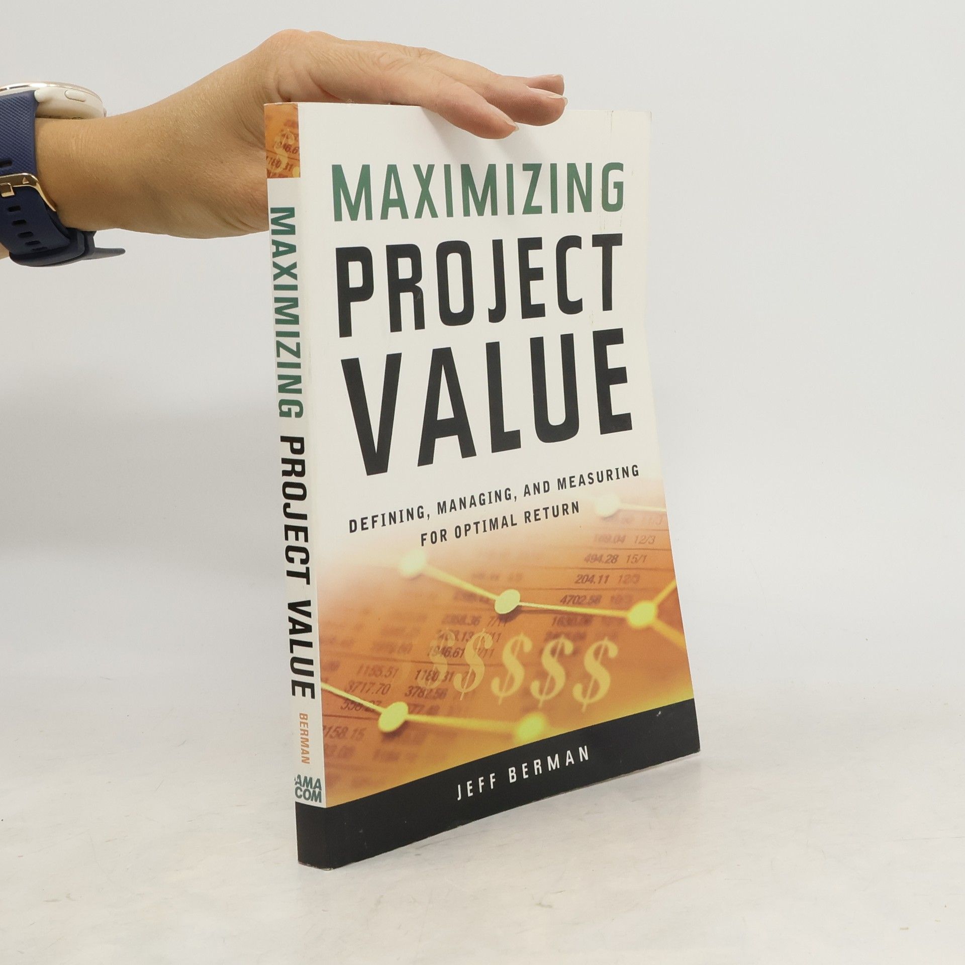 Jeff Berman Maximizing Project Value