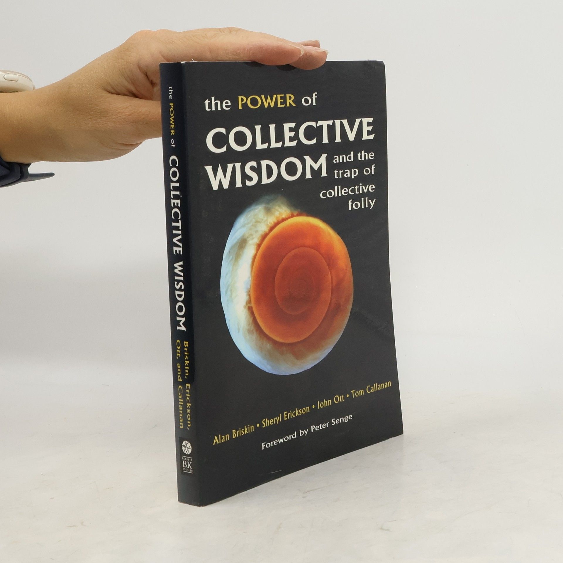 Alan Briskin The Power of Collective Wisdom