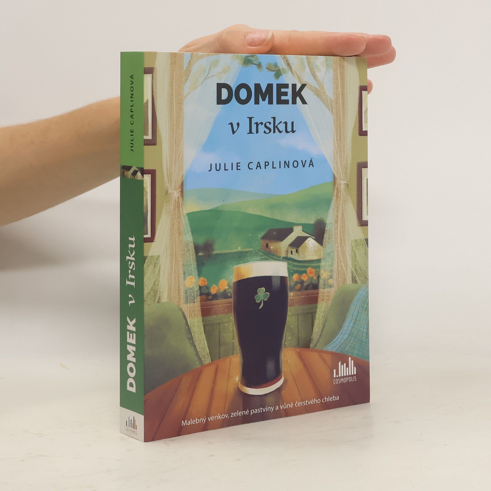 Julie Caplin Domek v Irsku