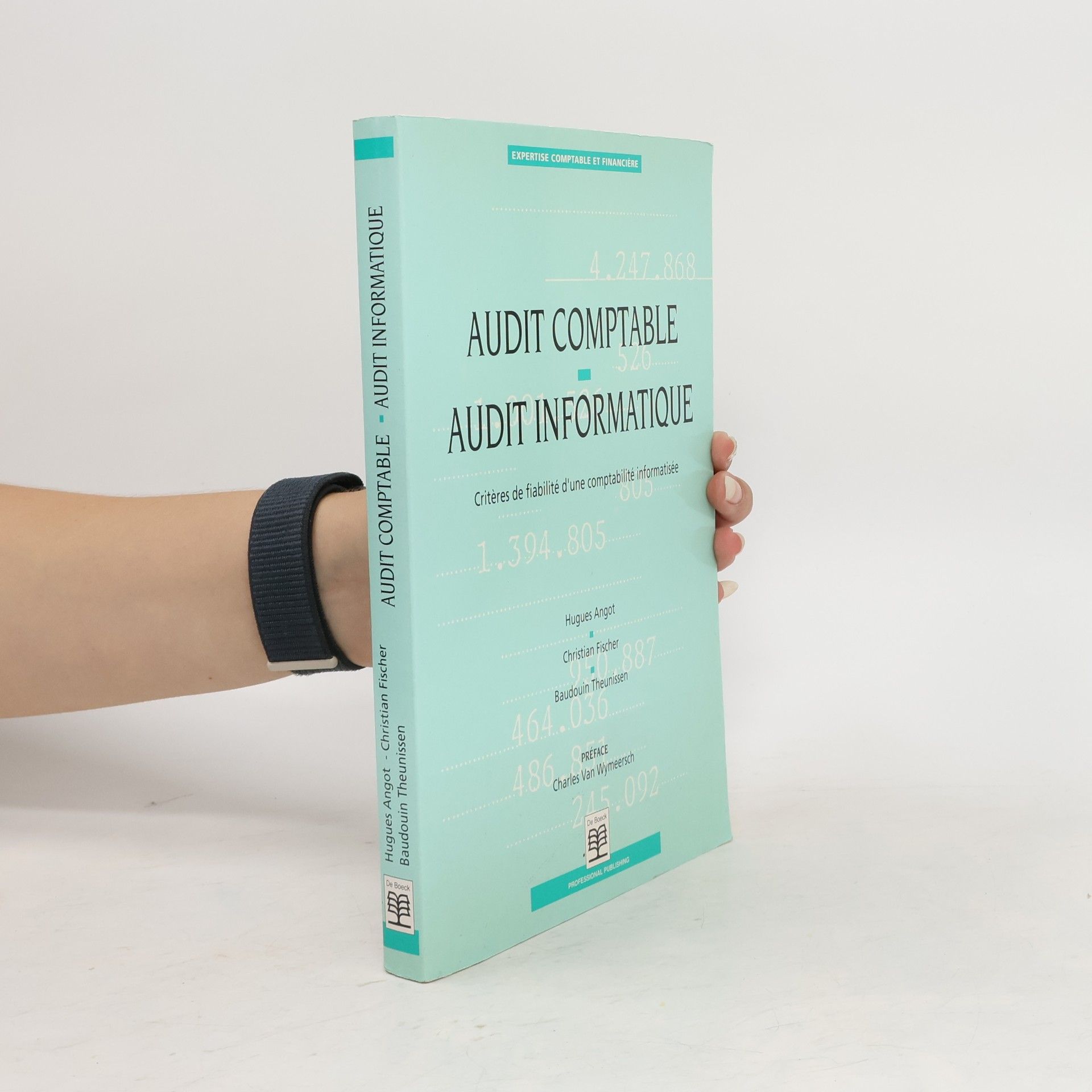 Hugues Angot Audit comptable, audit informatique