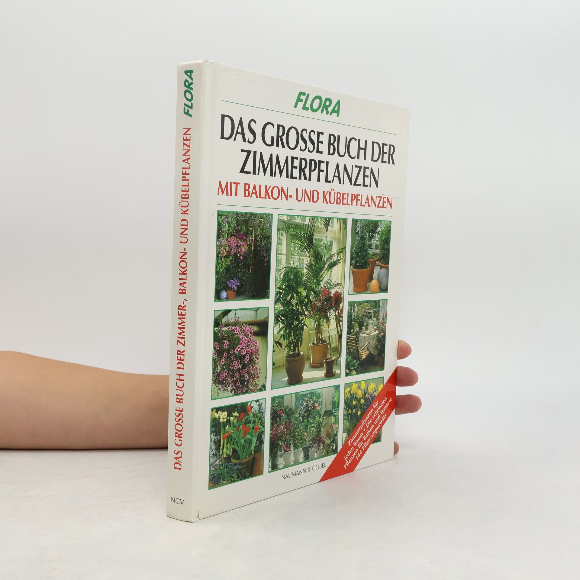 Johannes Haller Das große Buch der Zimmer-, Balkon- und Kübelpflanzen