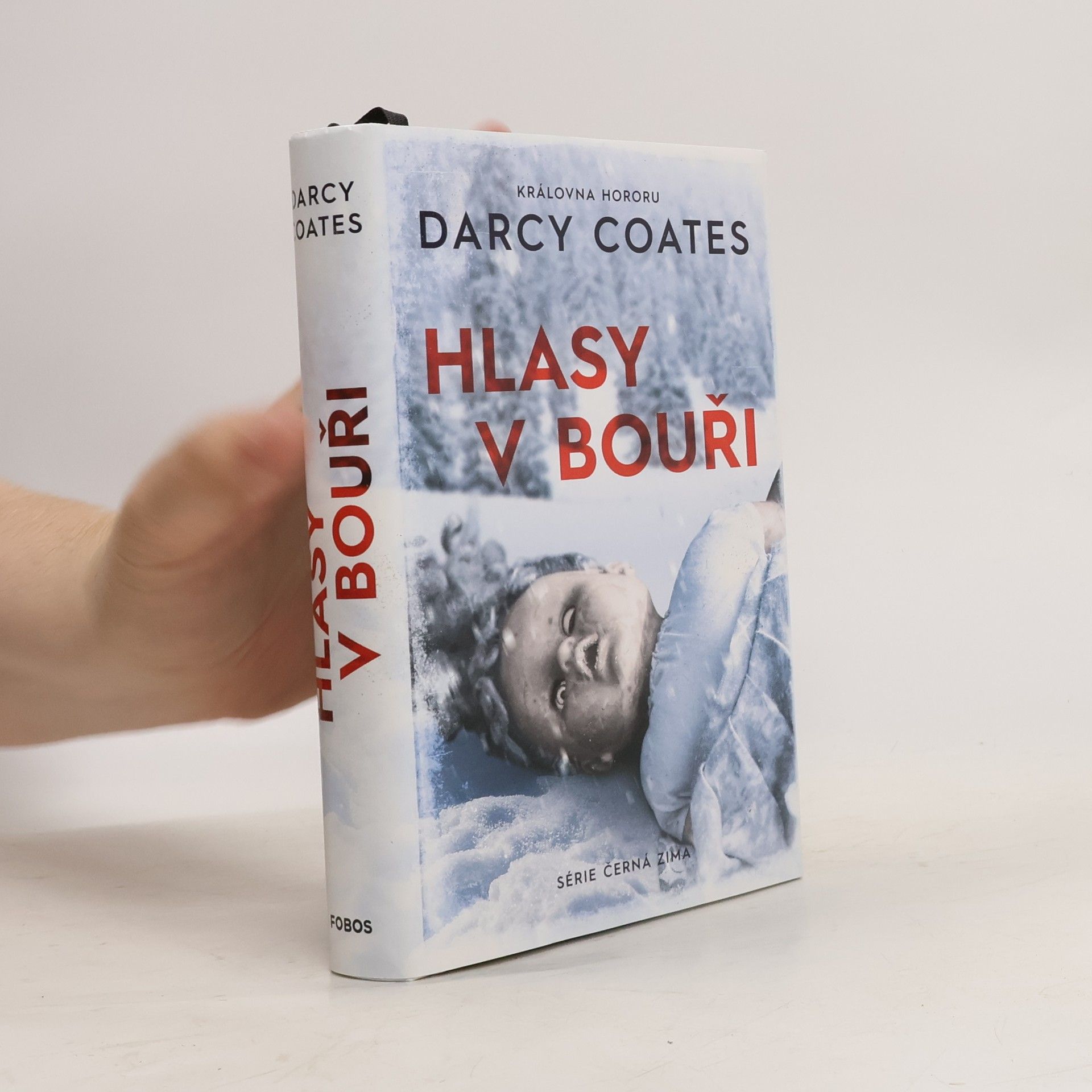 Darcy Coates Hlasy v bouři