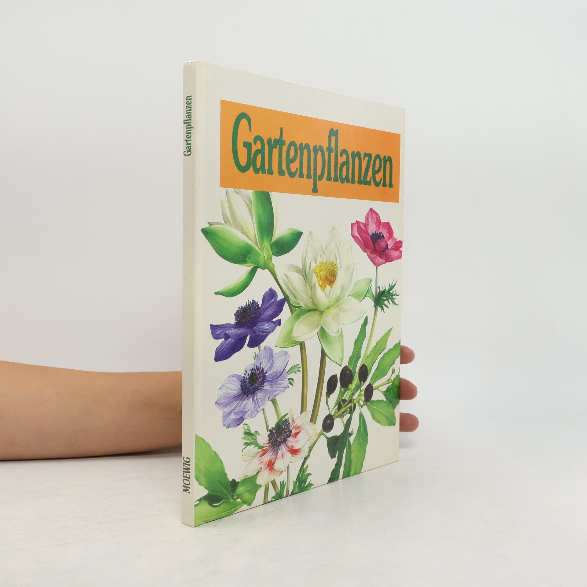 Doris Gottwald Gartenpflanzen