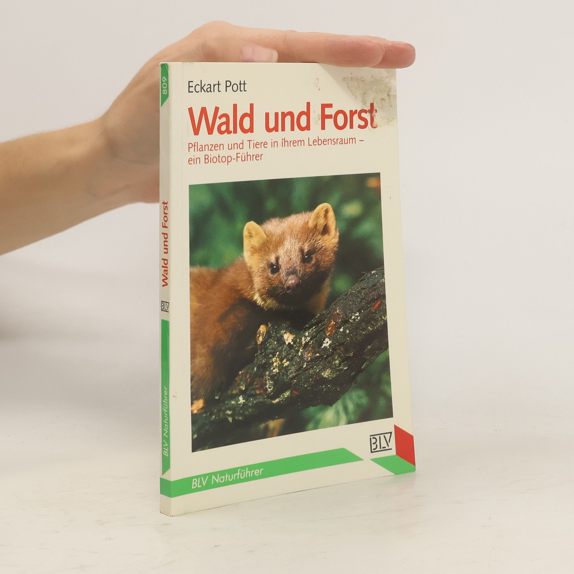 Eckart Pott Wald und Forst
