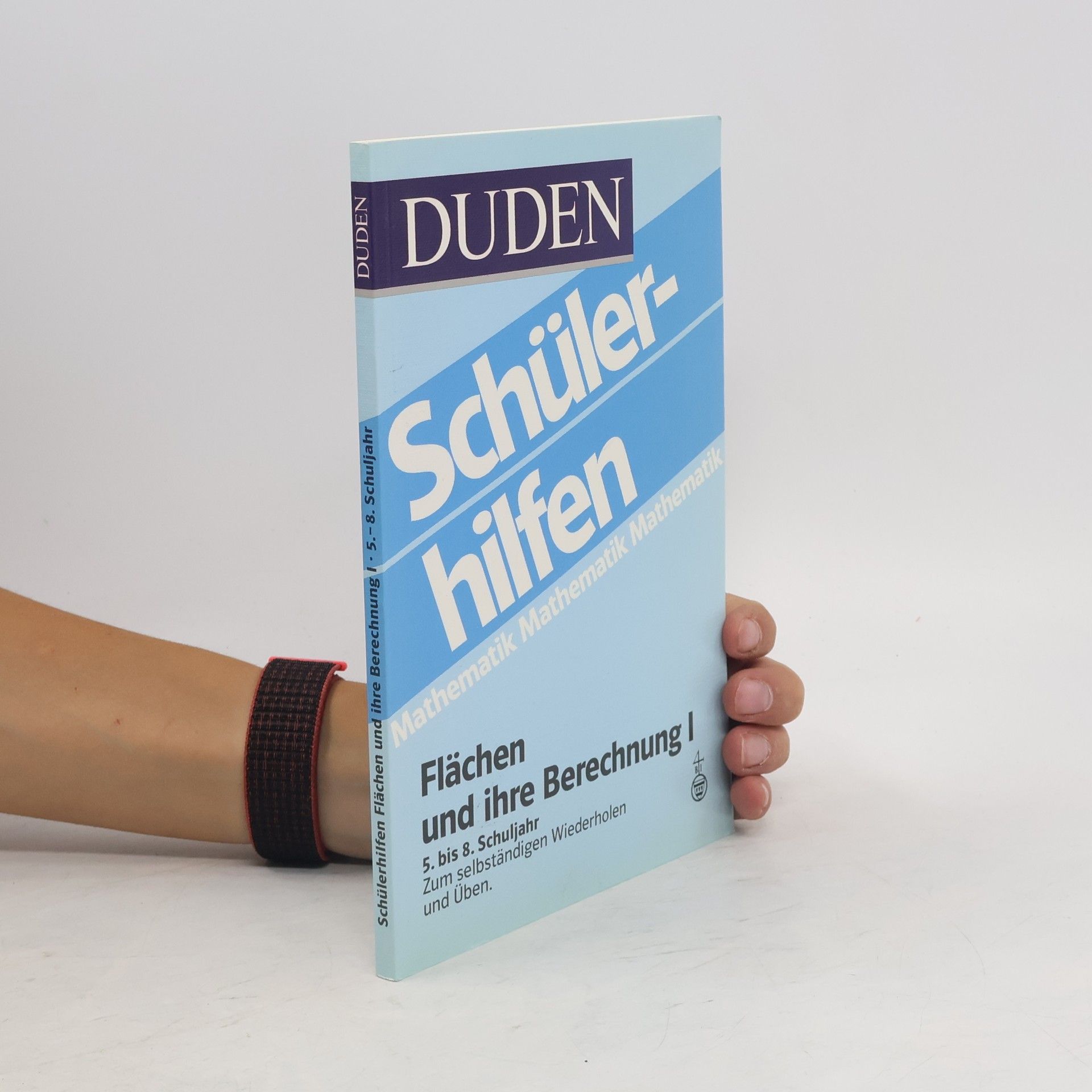 Hans Borucki Flächen und ihre Berechnung I