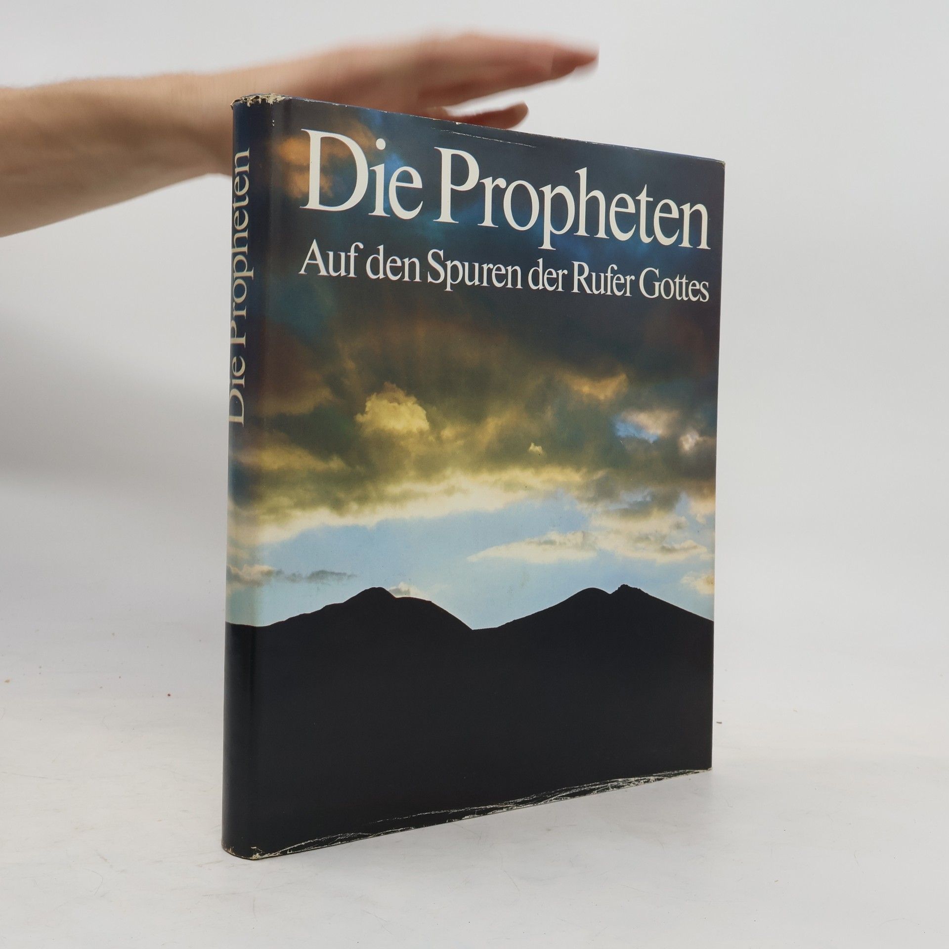 Mosheh Perlman Die Propheten