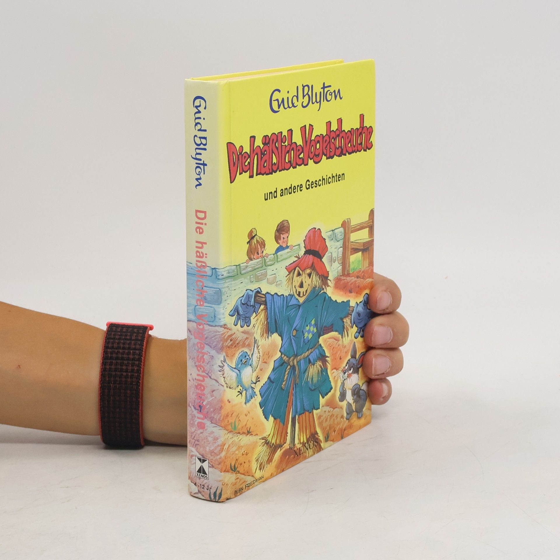 Enid Blyton Die hässliche Vogelscheuche und andere Geschichten
