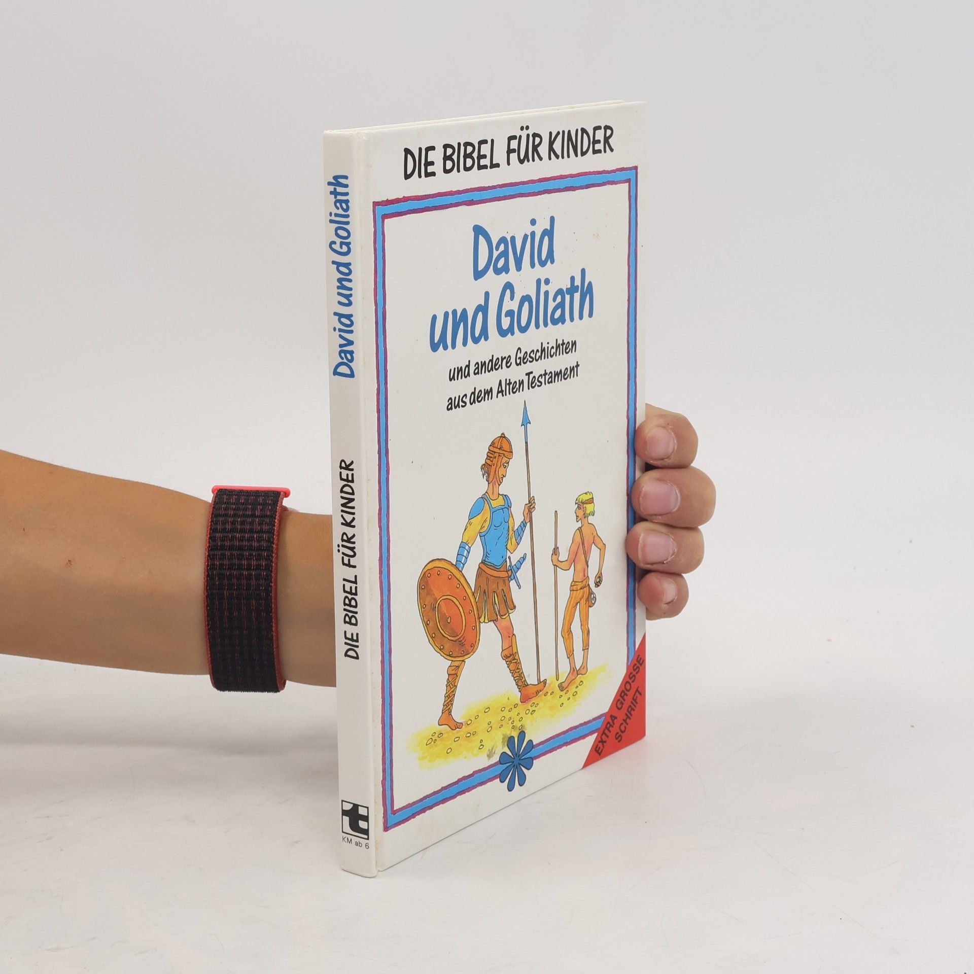 Regina Zwerger Die Bibel für Kinder