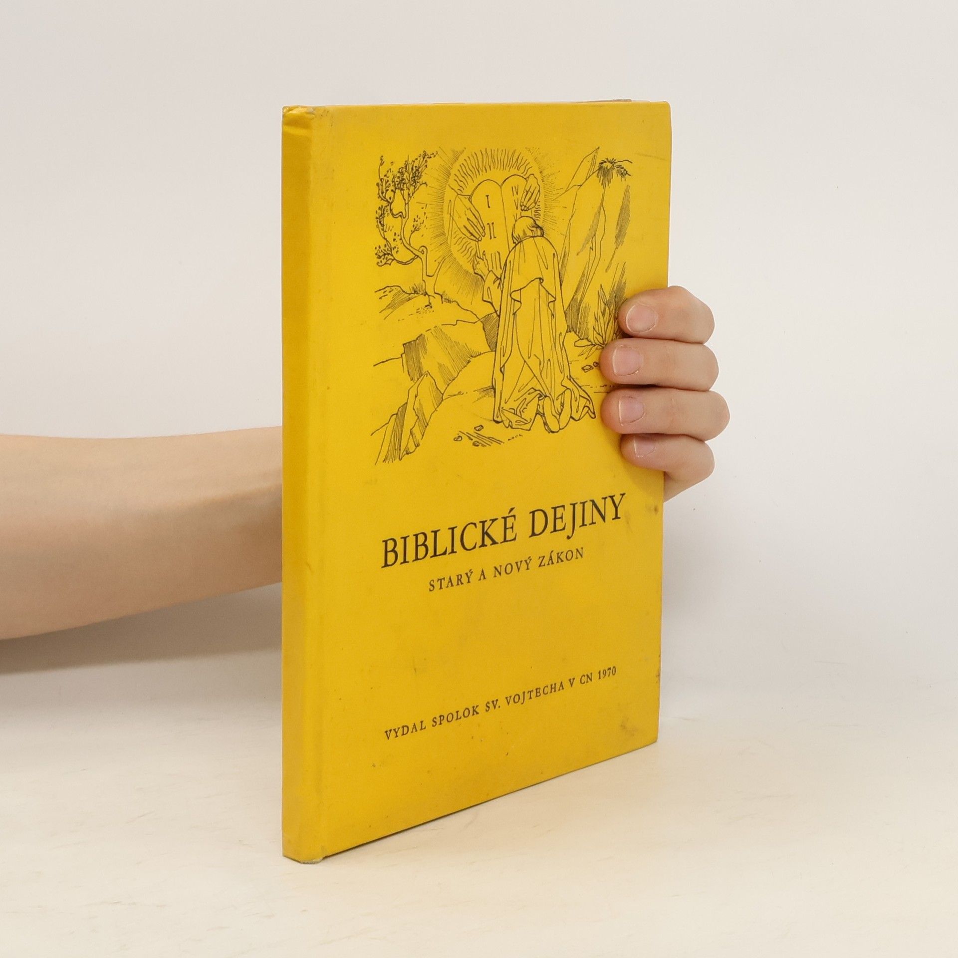 kolektiv Biblické dejiny. Starý a Nový zákon