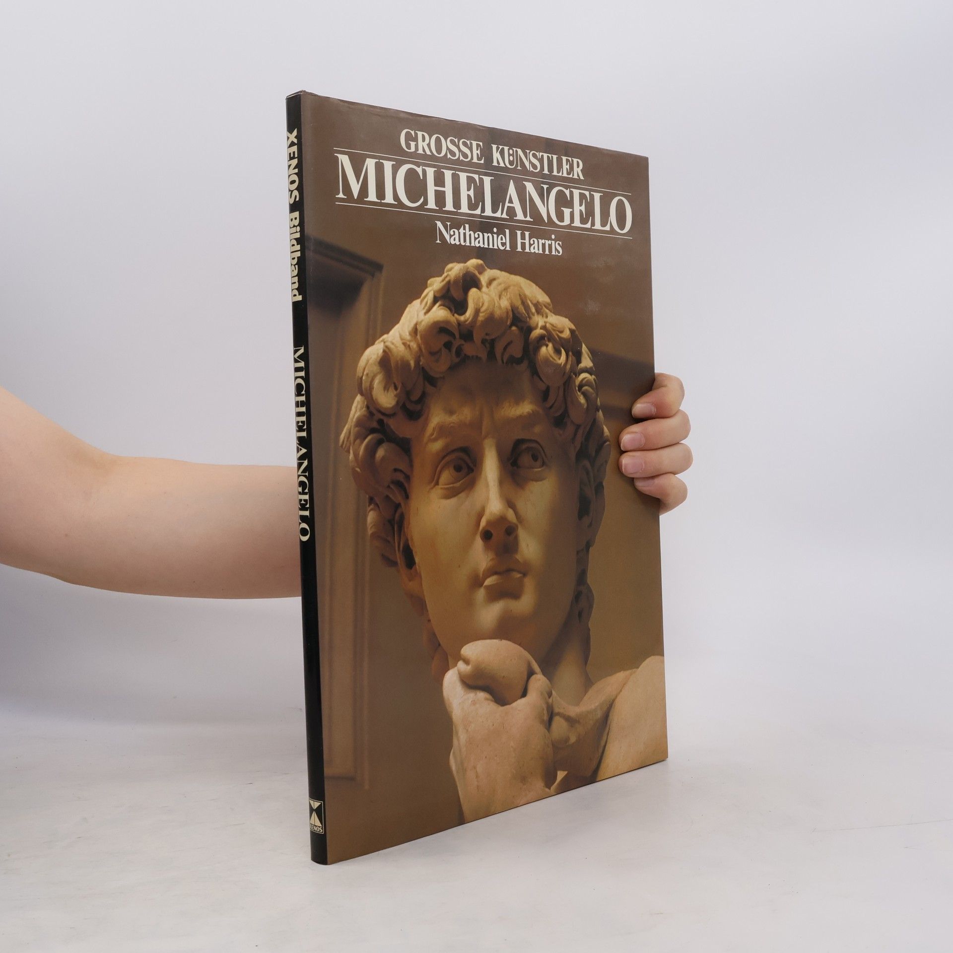Nathaniel Harris Michelangelo