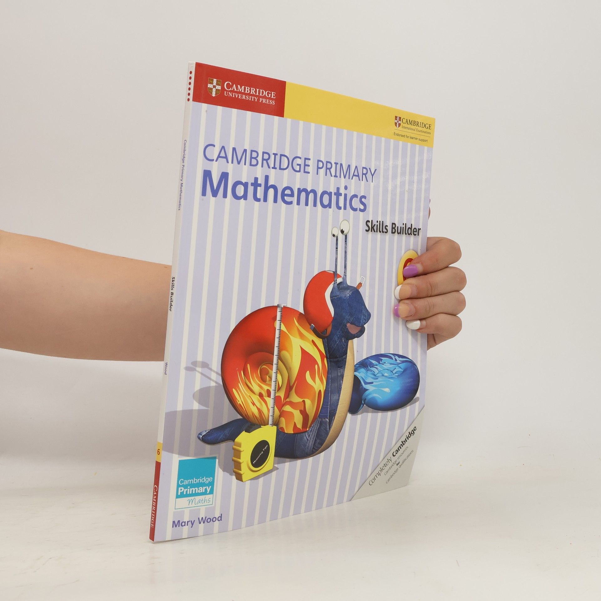 Maryrose Wood Cambridge Primary Mathematics Skills Builder 6