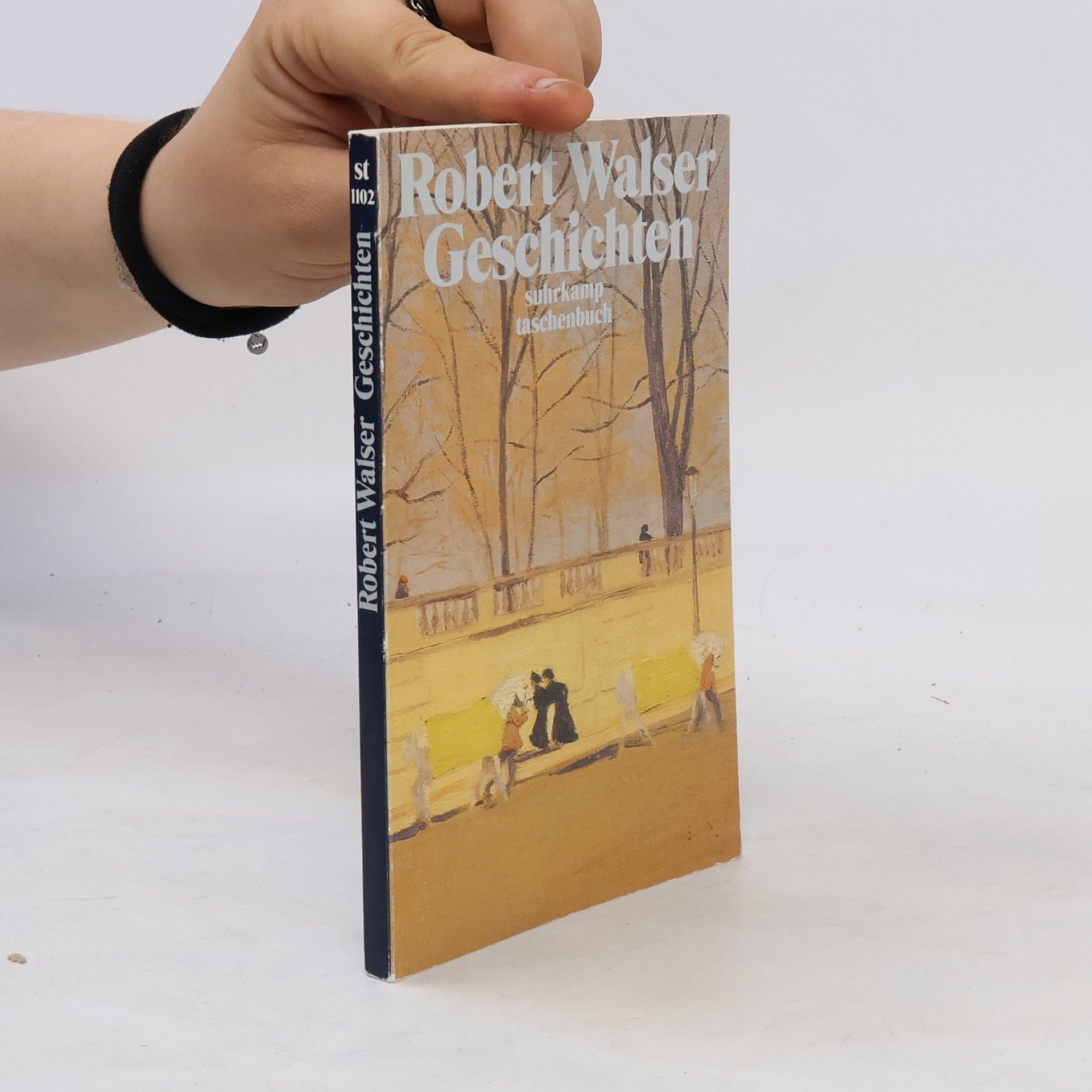 Robert Walser Geschichten