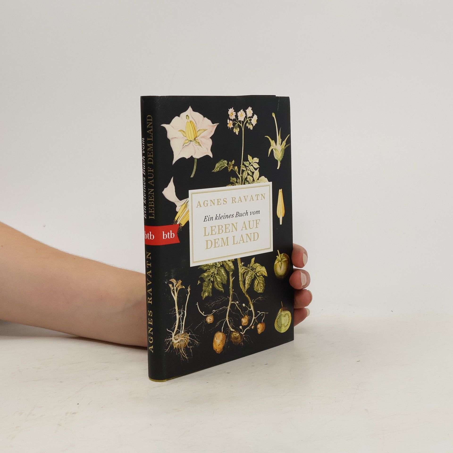 Agnes Ravatn Ein kleines Buch vom Leben auf dem Land