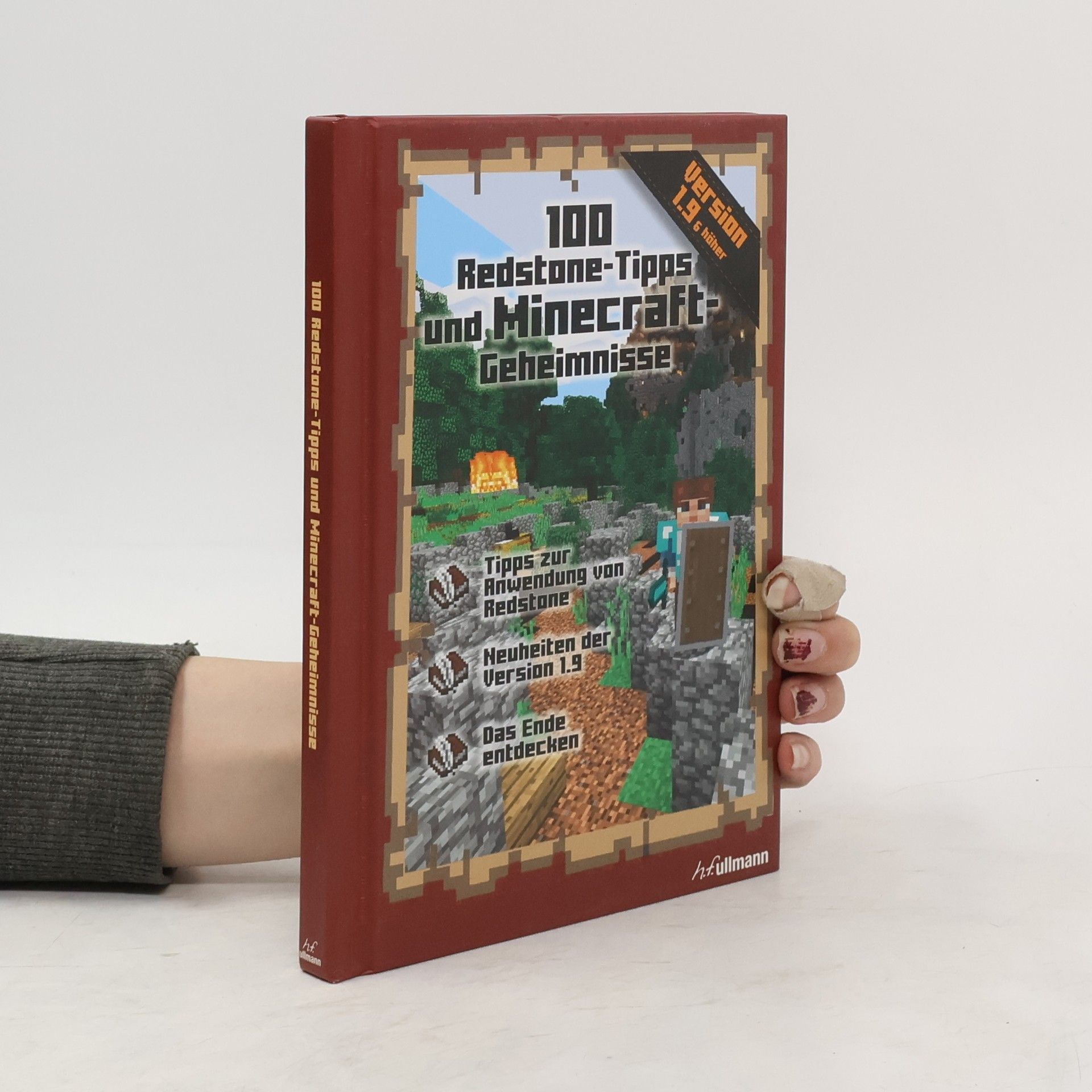 Stéphane Pilet 100 Redstone-Tipps und Minecraft-Geheimnisse