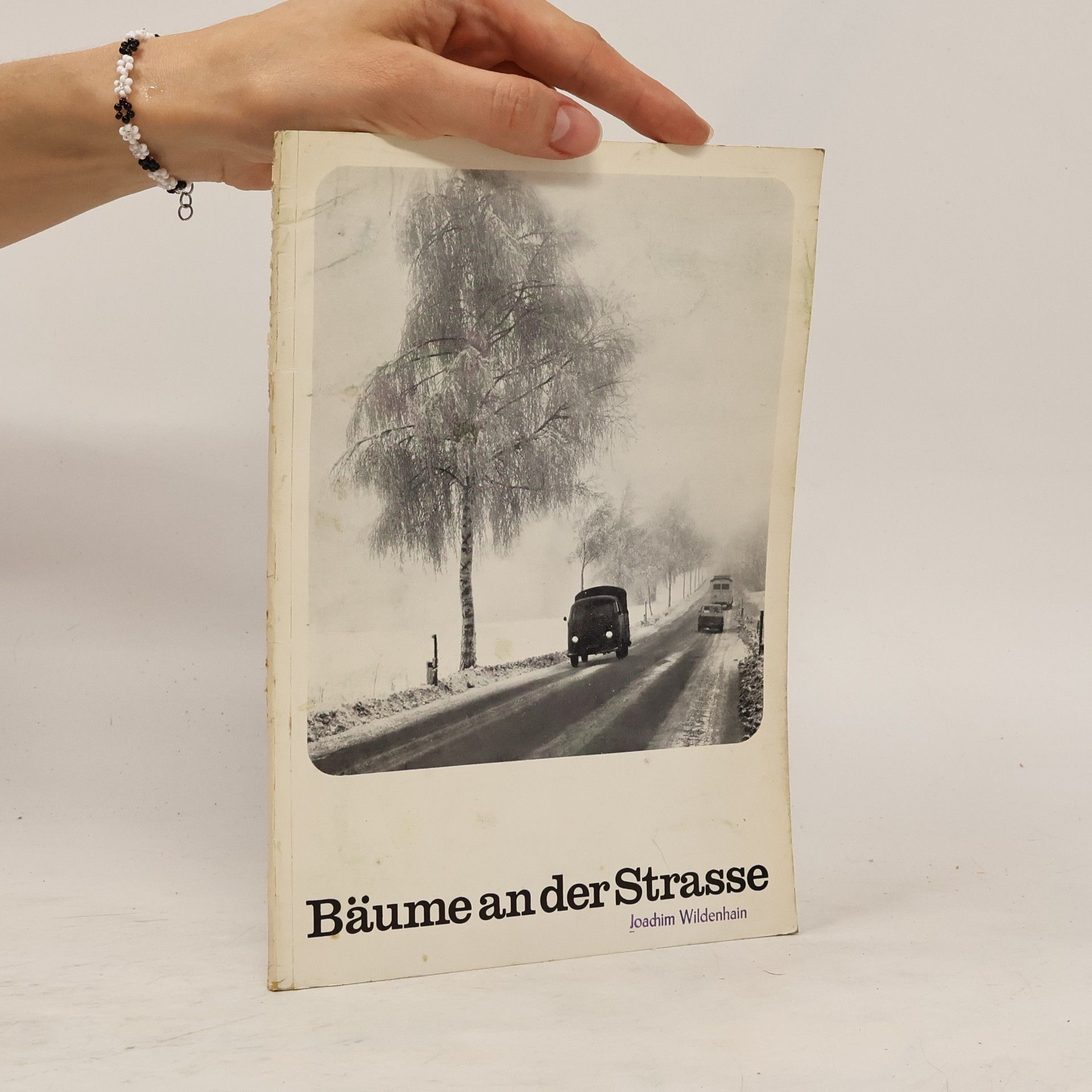 Joachim Wildenhain Bäume an der Strasse