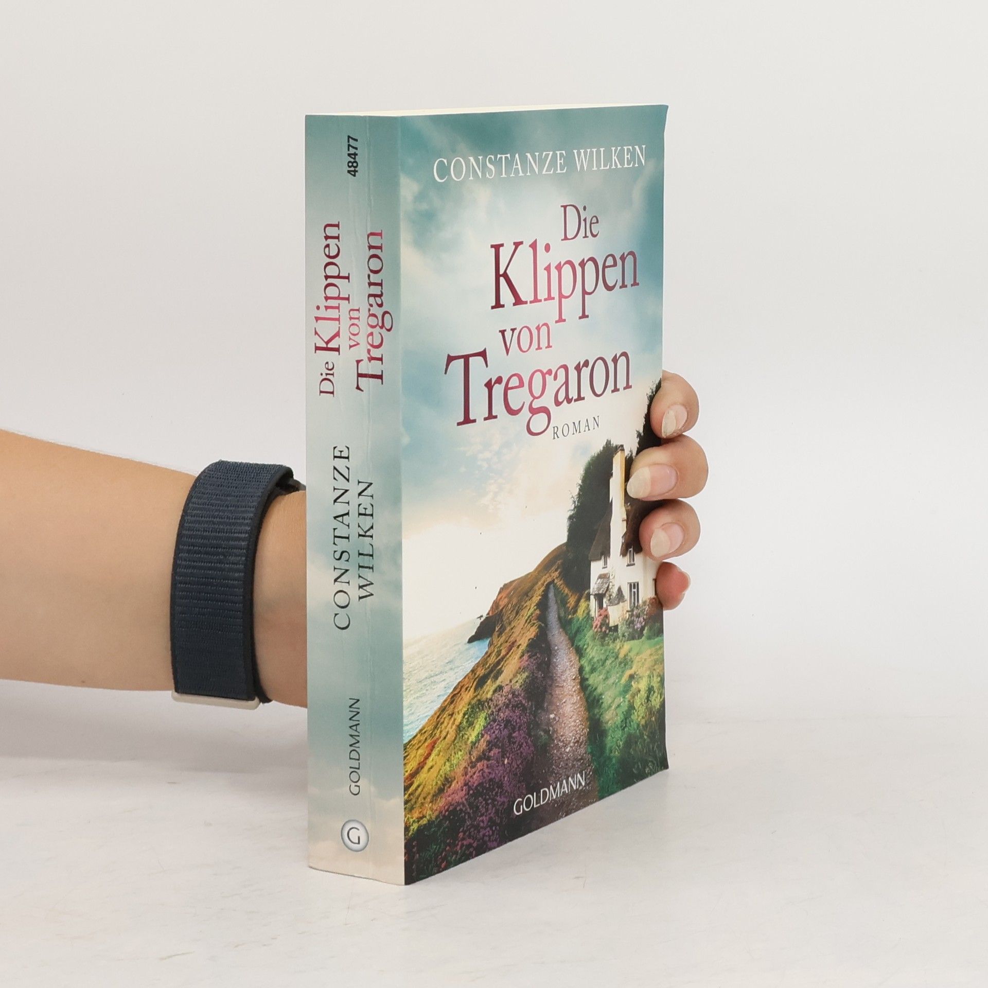 Constanze Wilken Die Klippen von Tregaron